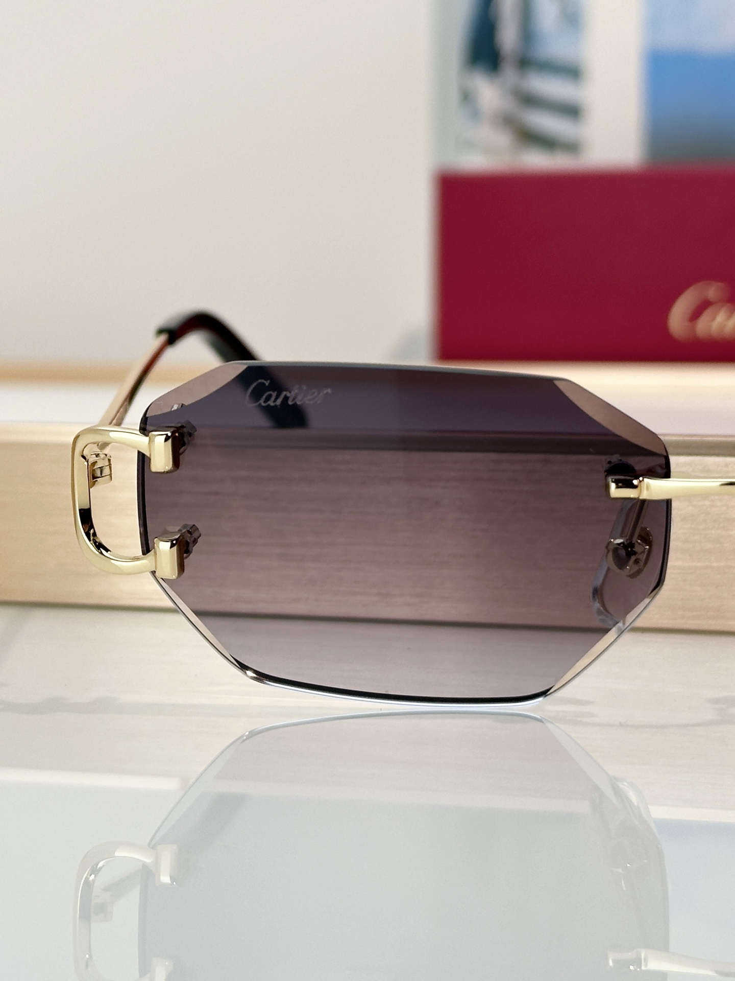 Designer Sunglasses CT0102O