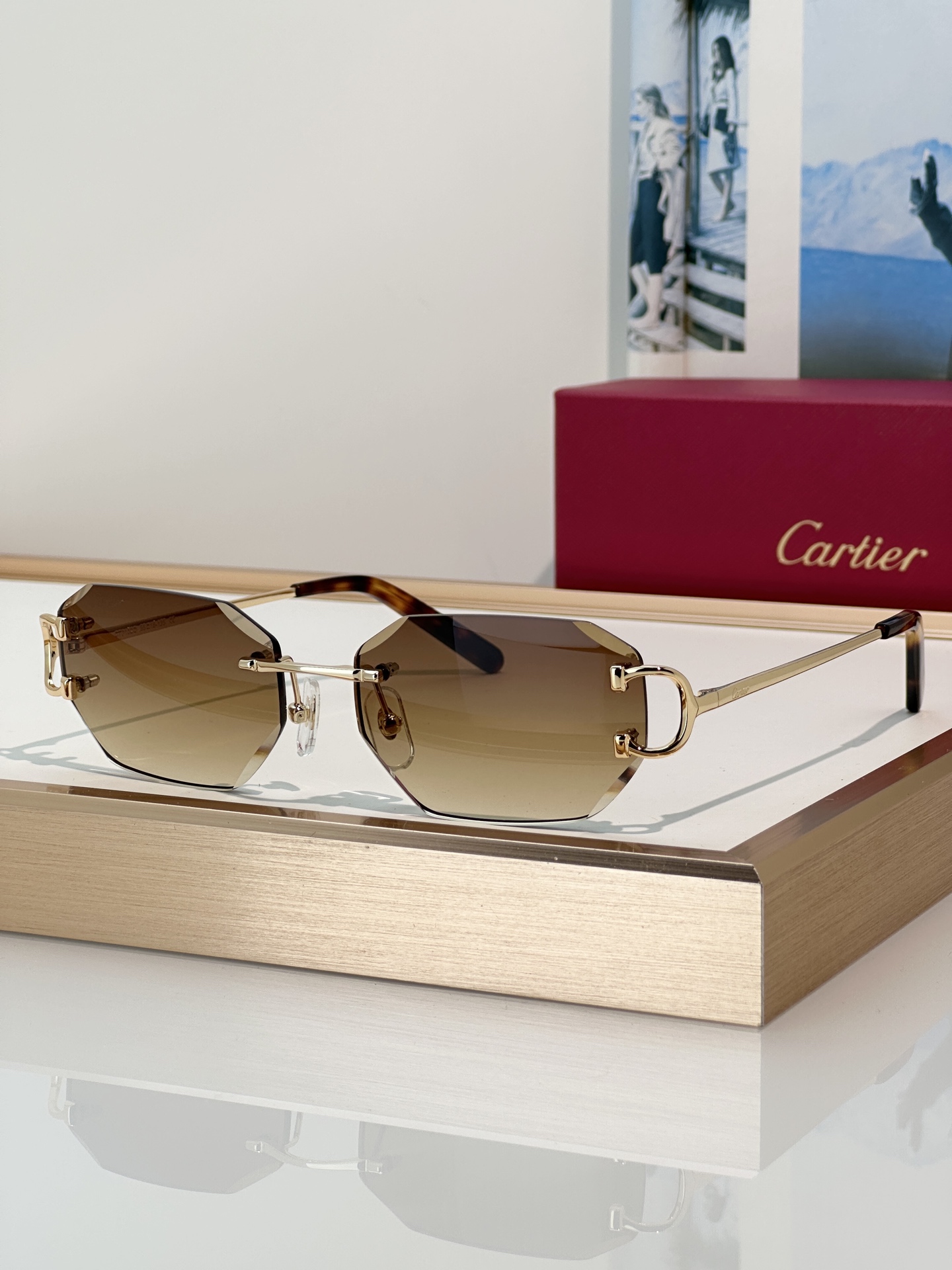 Designer Sunglasses CT0102O