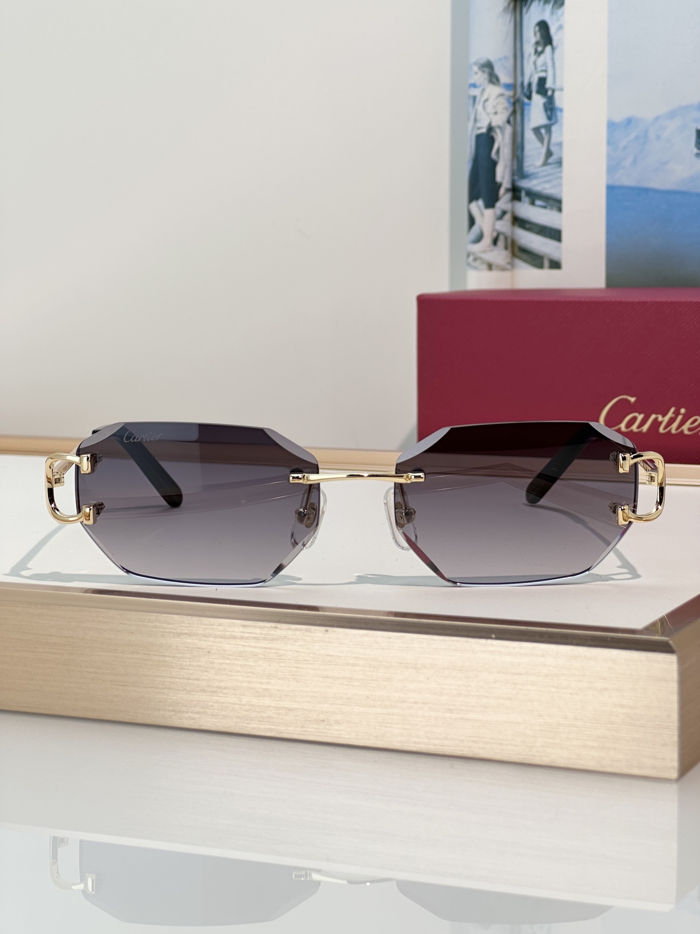 Designer Sunglasses CT0102O