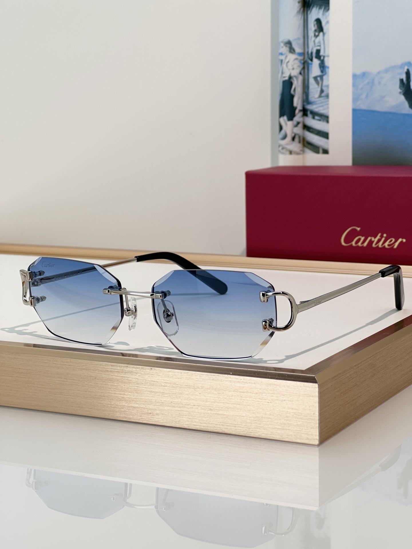 Designer Sunglasses CT0102O