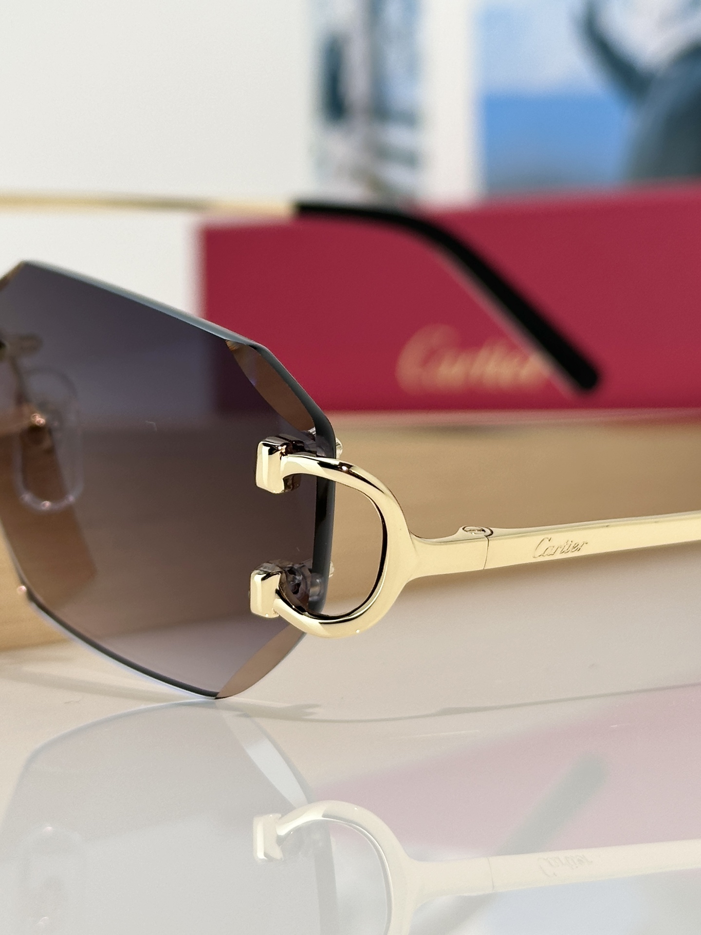 Designer Sunglasses CT0102O