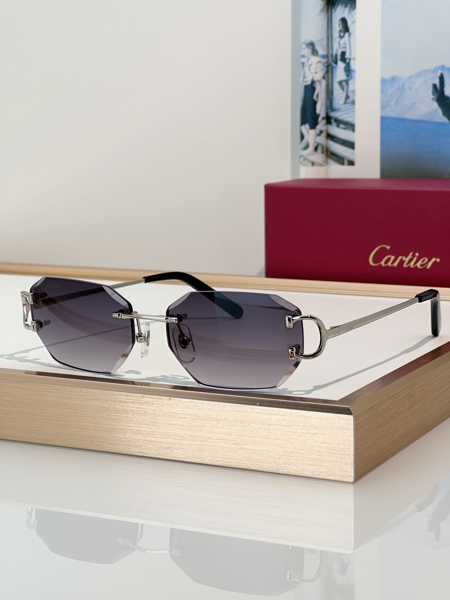 Designer Sunglasses CT0102O