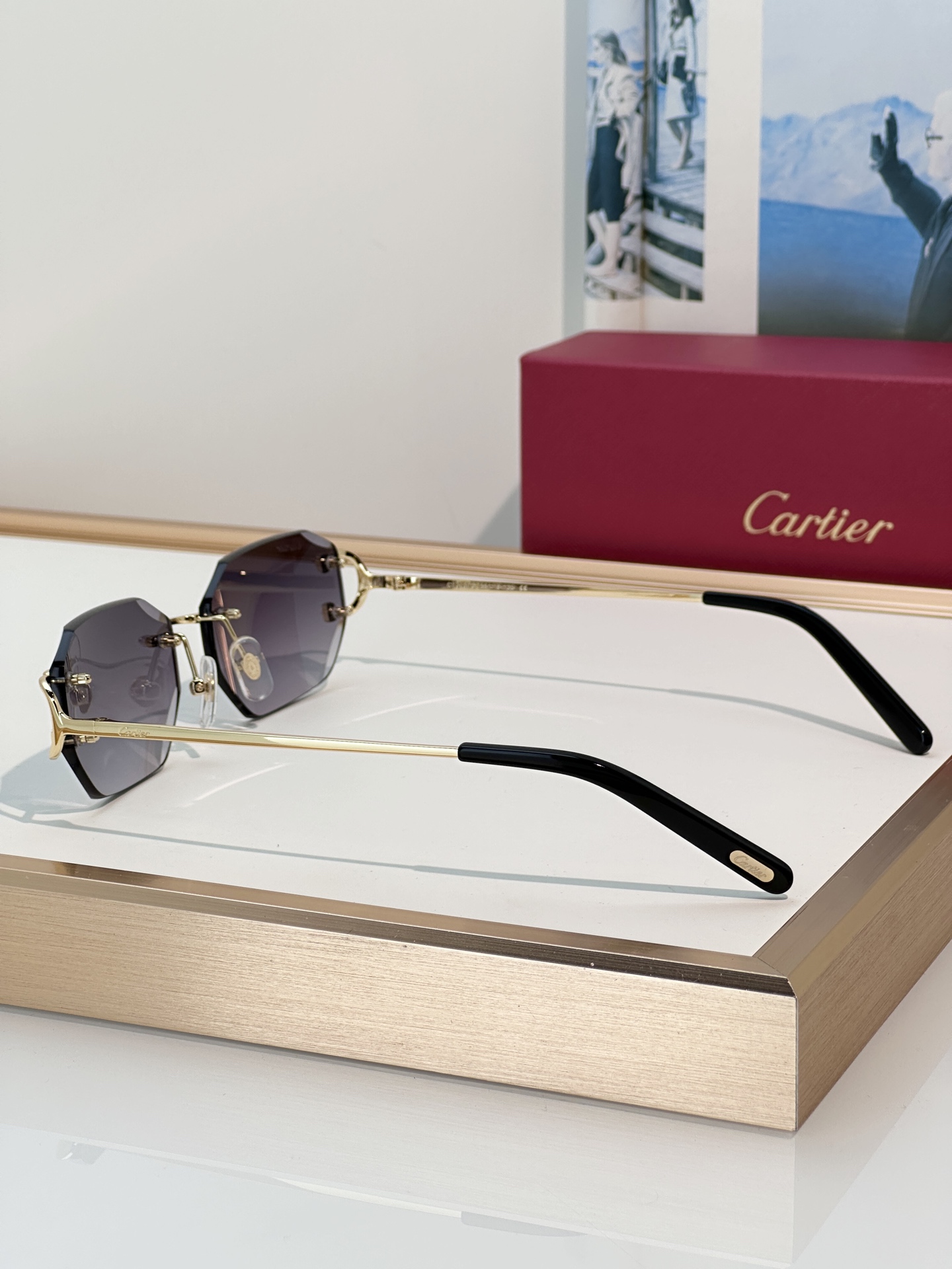 Designer Sunglasses CT0102O
