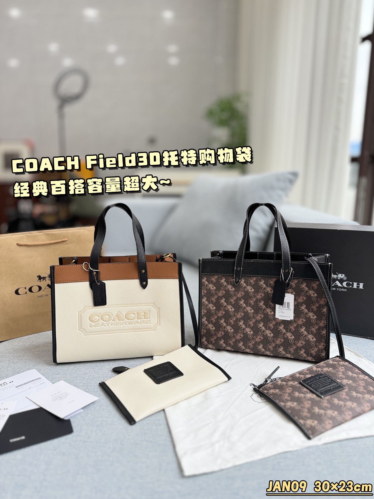 ¿Qué color debo elegir Coach Field 30 Tote Bag Tote Bag Bolso de compras Bolso de hombro Tote Bag