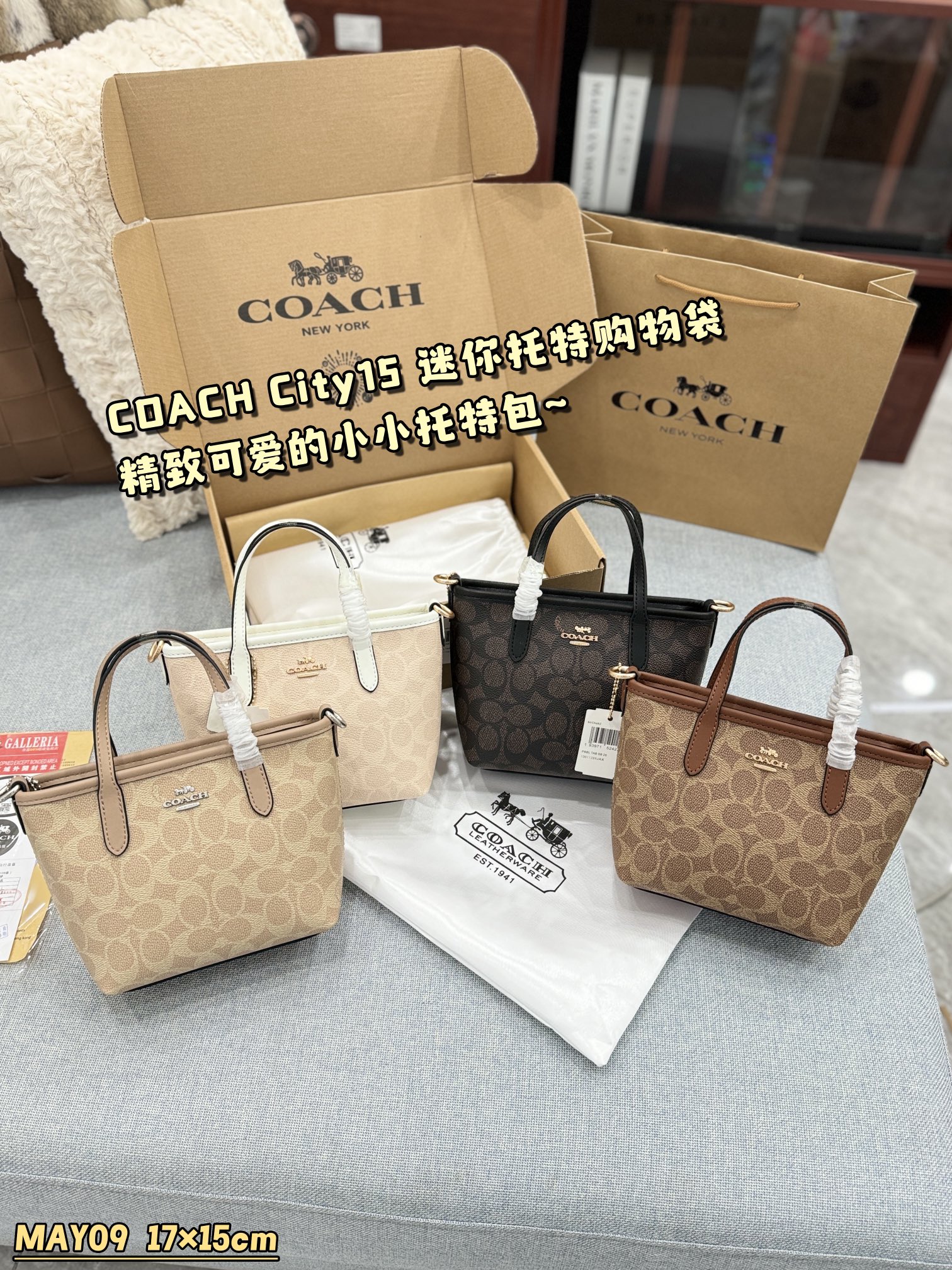 ¿Qué color debo elegir COACH Coach City 15 Tote Bag Tote Bag Bolso de compras Bolso Mini
