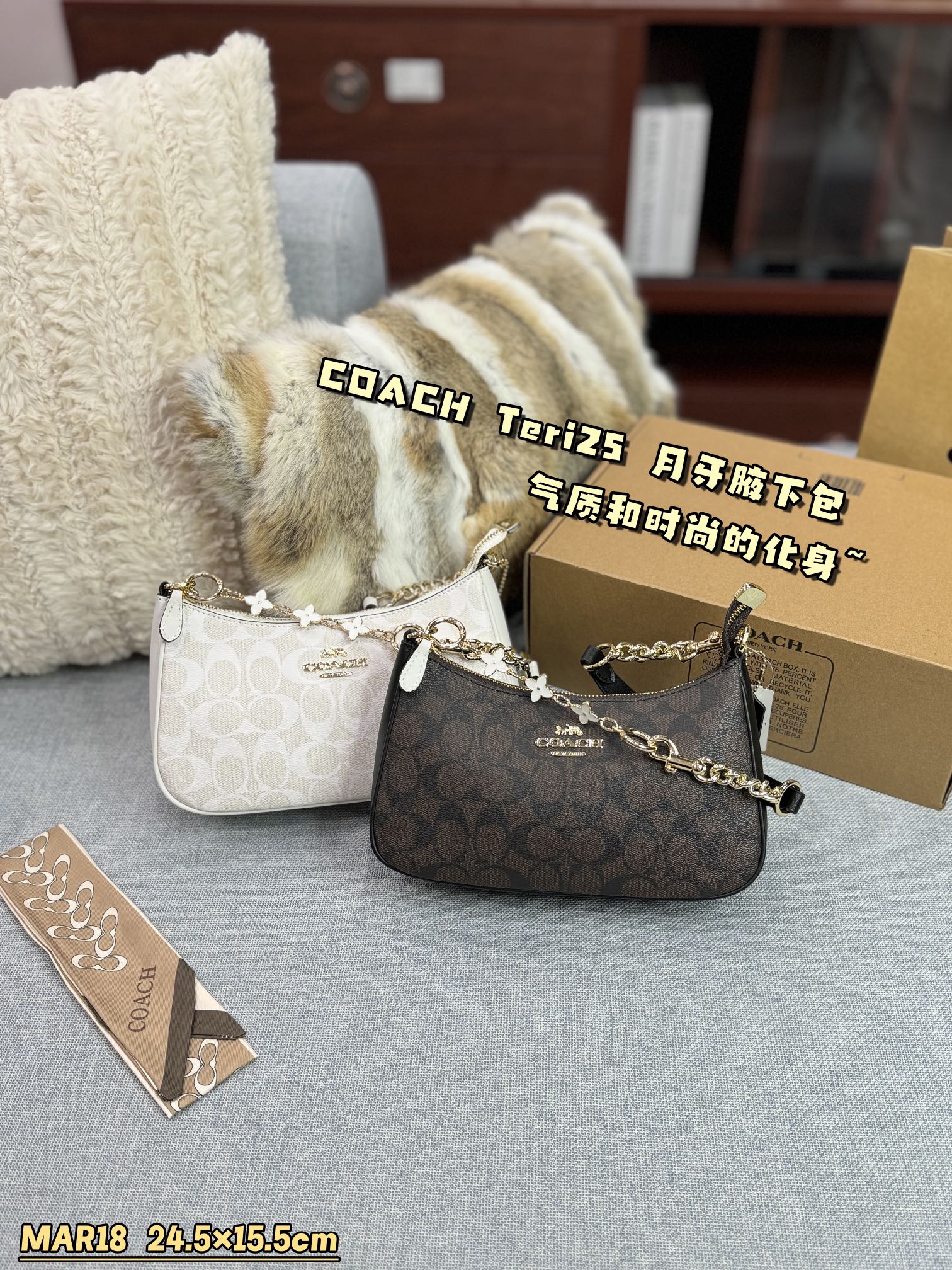 ¿De qué color debo elegir COACH Coach Teri 25 Bolsa de bajo el brazo Bolso de hombro Crossbody Bolsa