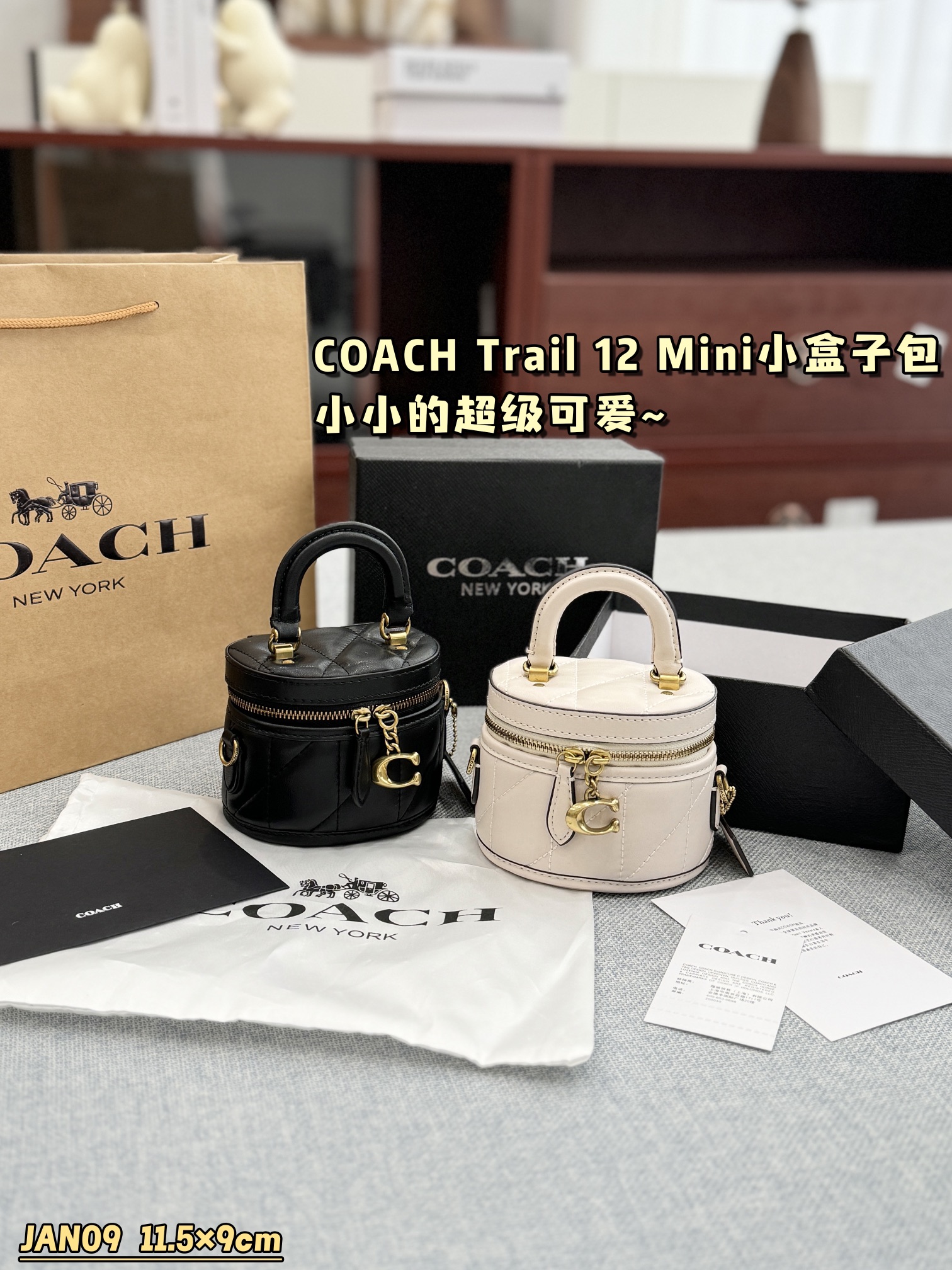 ¿Qué color debo elegir Coach Trail 12 bolso de hombro Mini