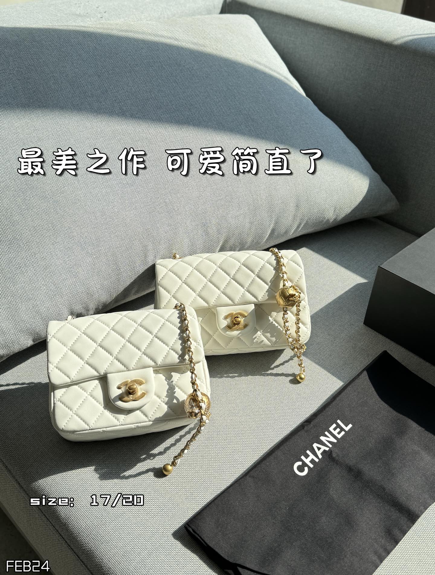 Chanel Shoulder Bag 11463