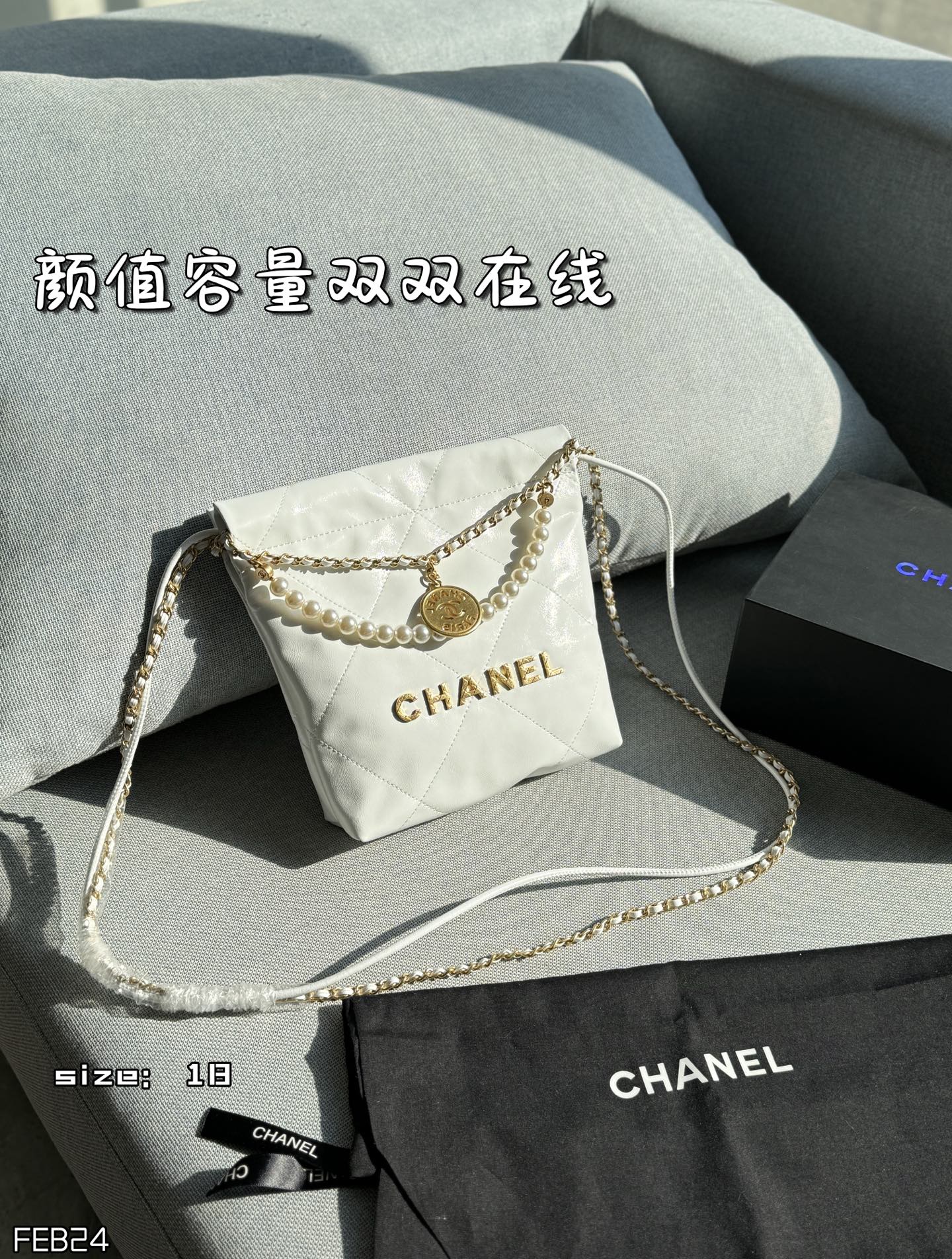 Chanel Crossbody Bag 11461