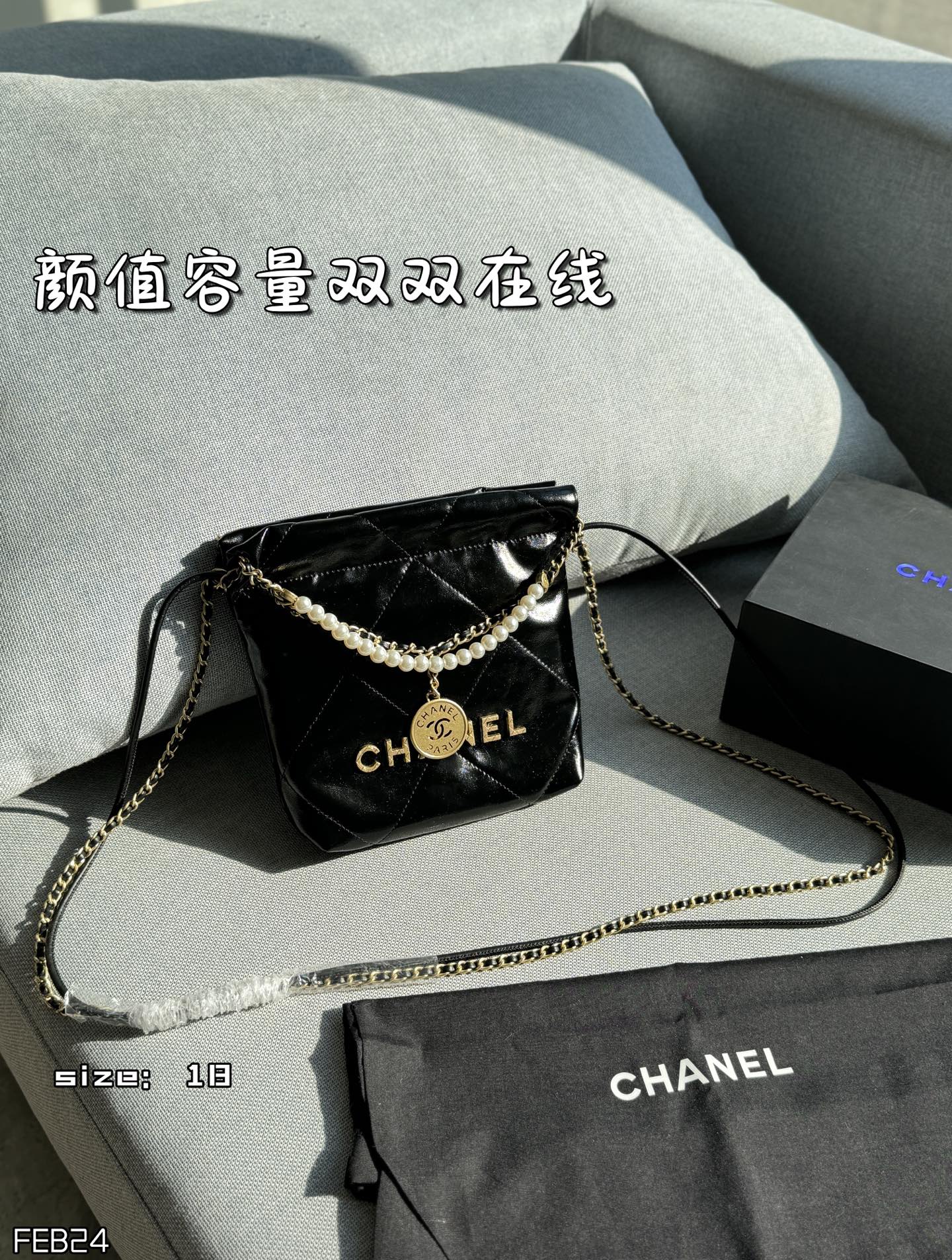 Chanel Crossbody Bag 11460