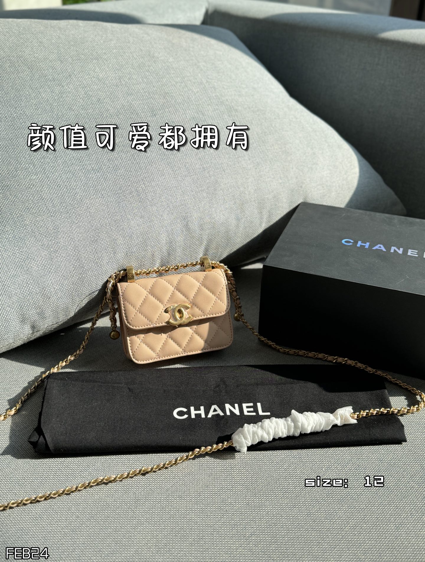 Chanel Crossbody Bag 11458