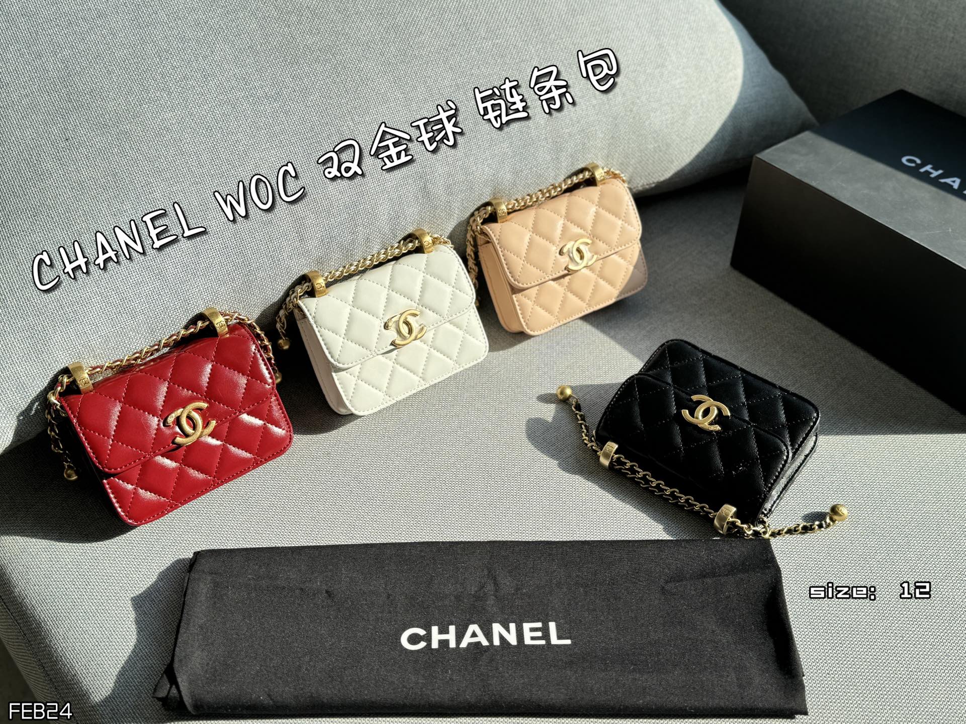 Chanel Crossbody Bag 11456