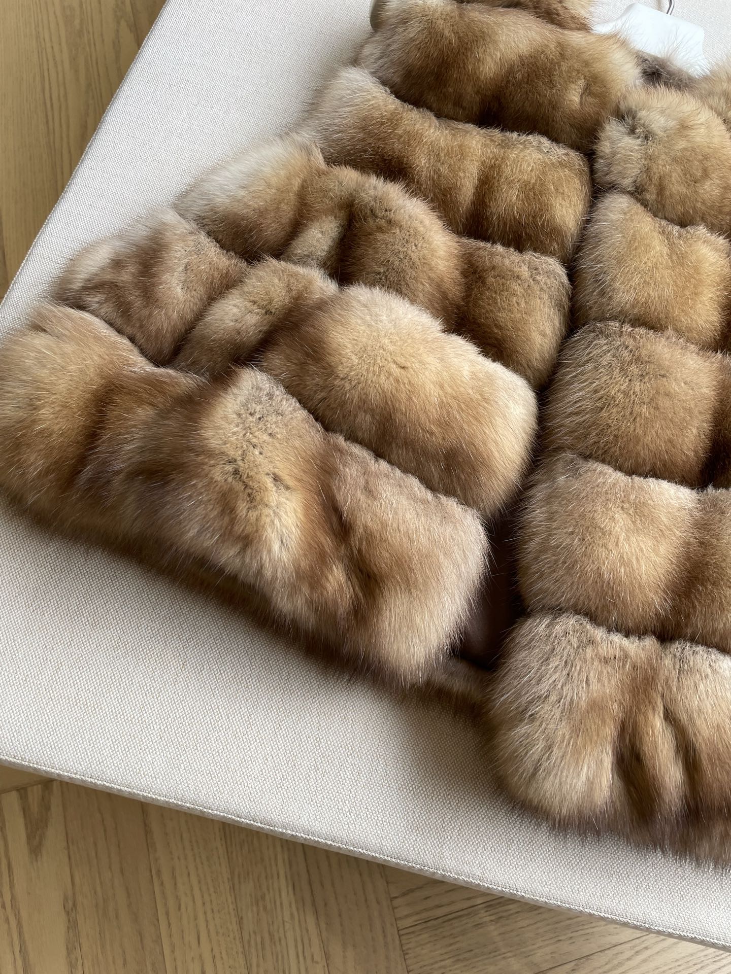 Mink Fur Vest with Round Collar,Sleeveless Short Coat,Zipper Closure,Casual Daily Wear 4 i1763090403986 6755 0 2