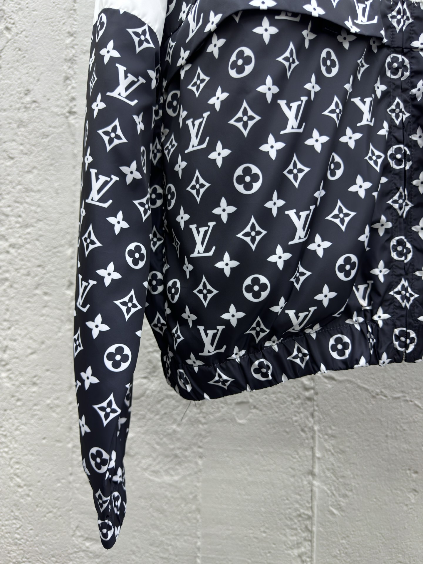 Louis Vuitton Haute Couture Haute Couture Ready-to-Wear Clothing Dress 6