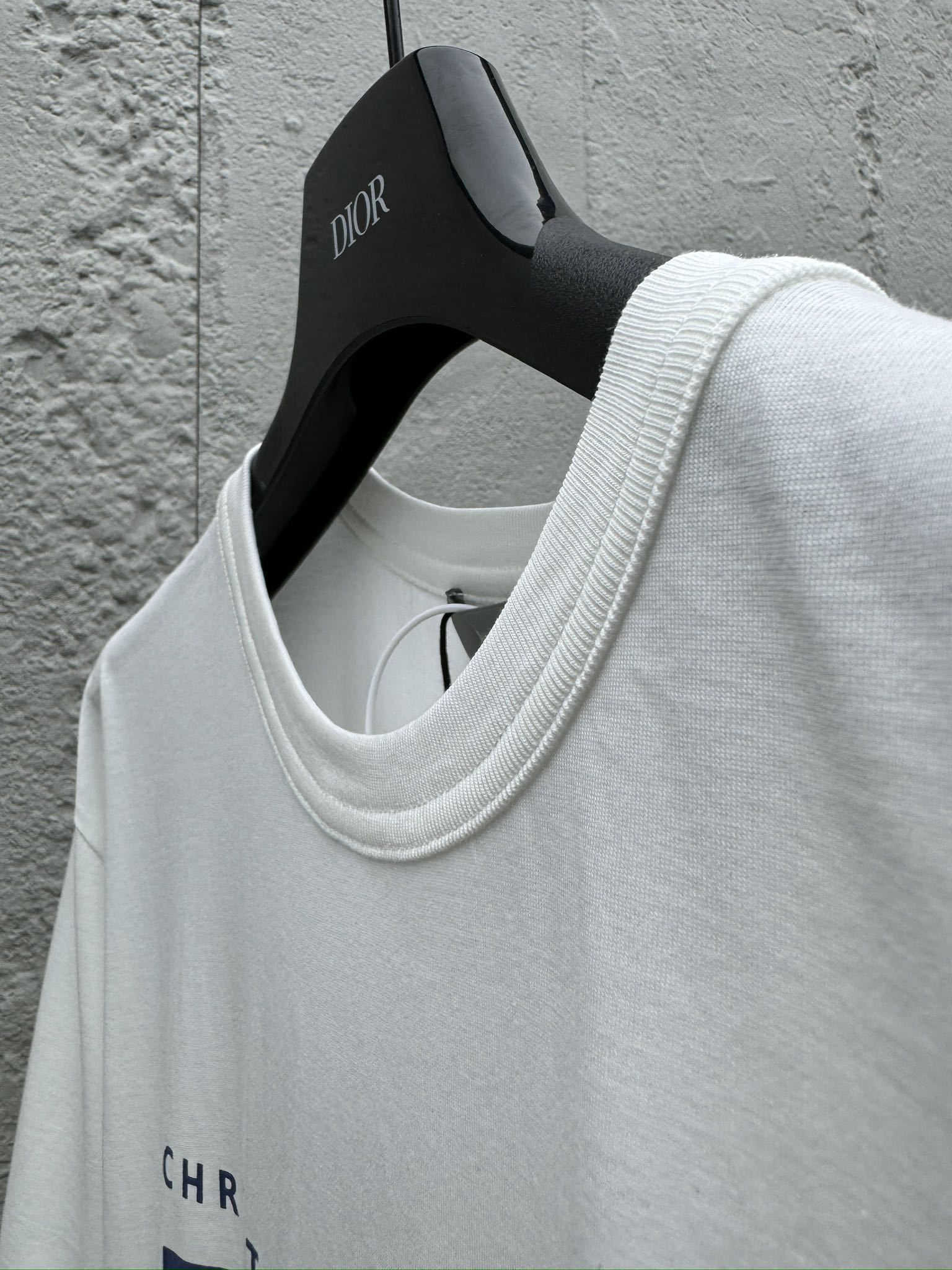 DIOR 24SS Charm标志印花刺绣T恤短袖 8
