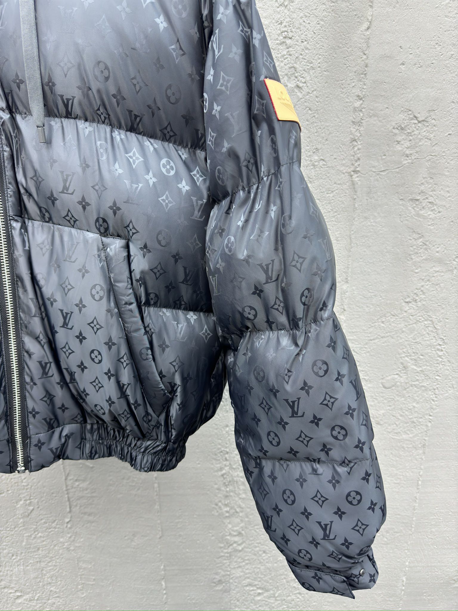 LOUIS VUITTON 滑雪系列暗纹满印羽绒服外套 7