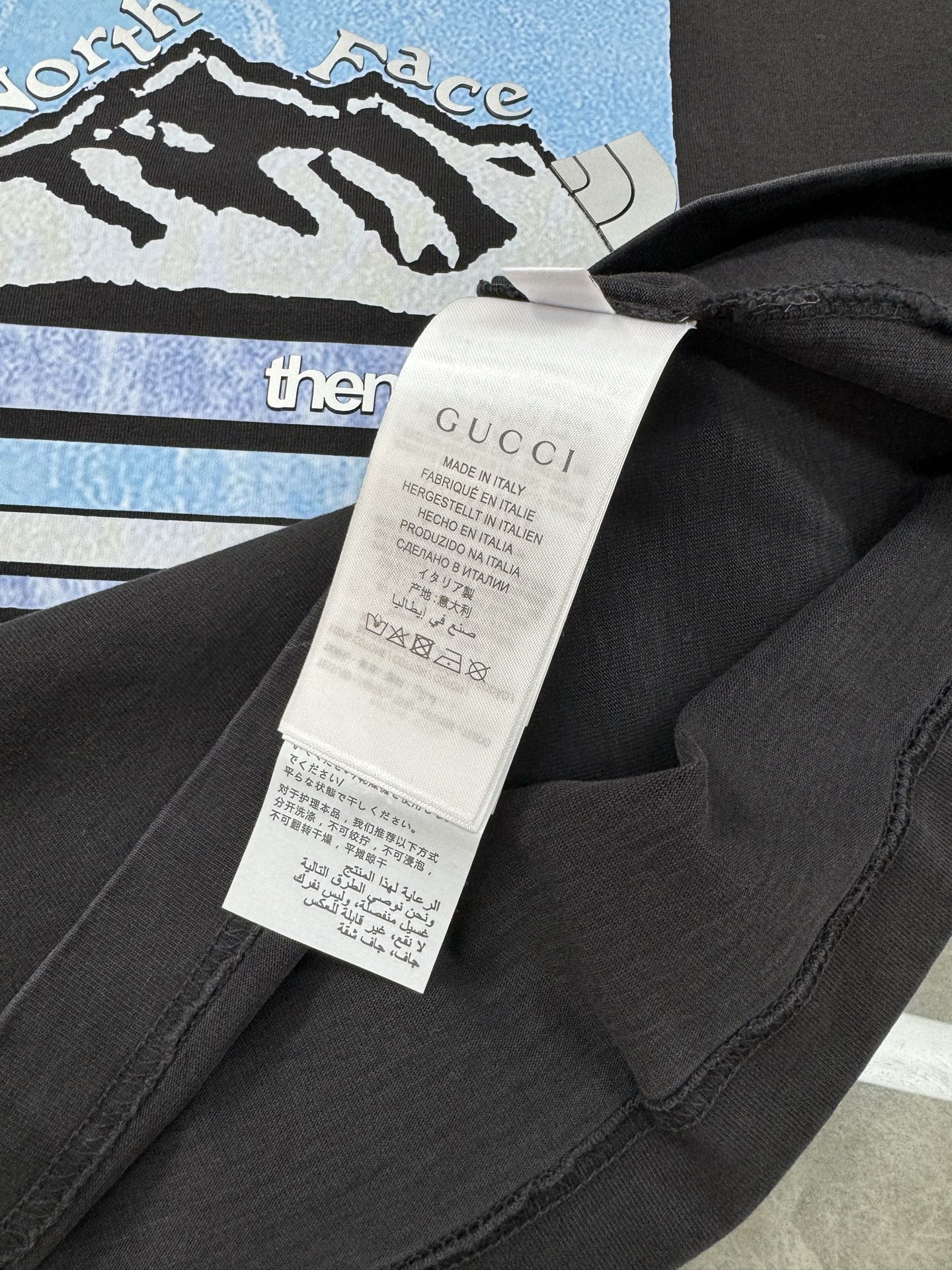 Gucci’s New T-Shirt: Cozy, Airy, High-Quality Cotton, Snow Mountain Colors. - 图片 8