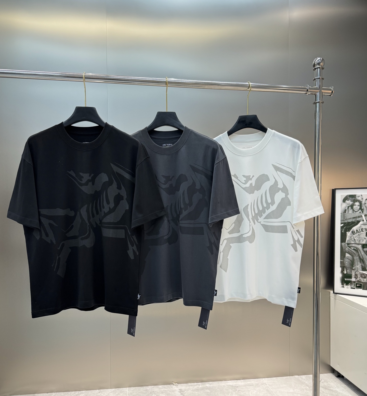 ARCTERY*始祖*鸟新款T.男女同款～25s小红书推荐！衣身大面积拔印设计.始祖鸟造型超级好看.时尚