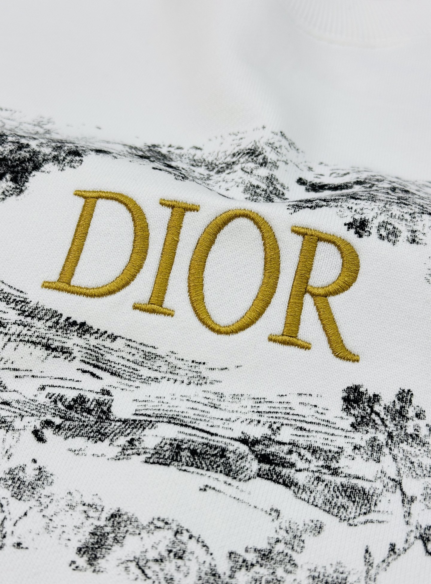 Dior 迪奥经典刺绣纯棉长袖圆领卫衣，男女同款！这款卫衣采用进口棉质抓绒布精心制作。柔软舒适，胸前饰以
