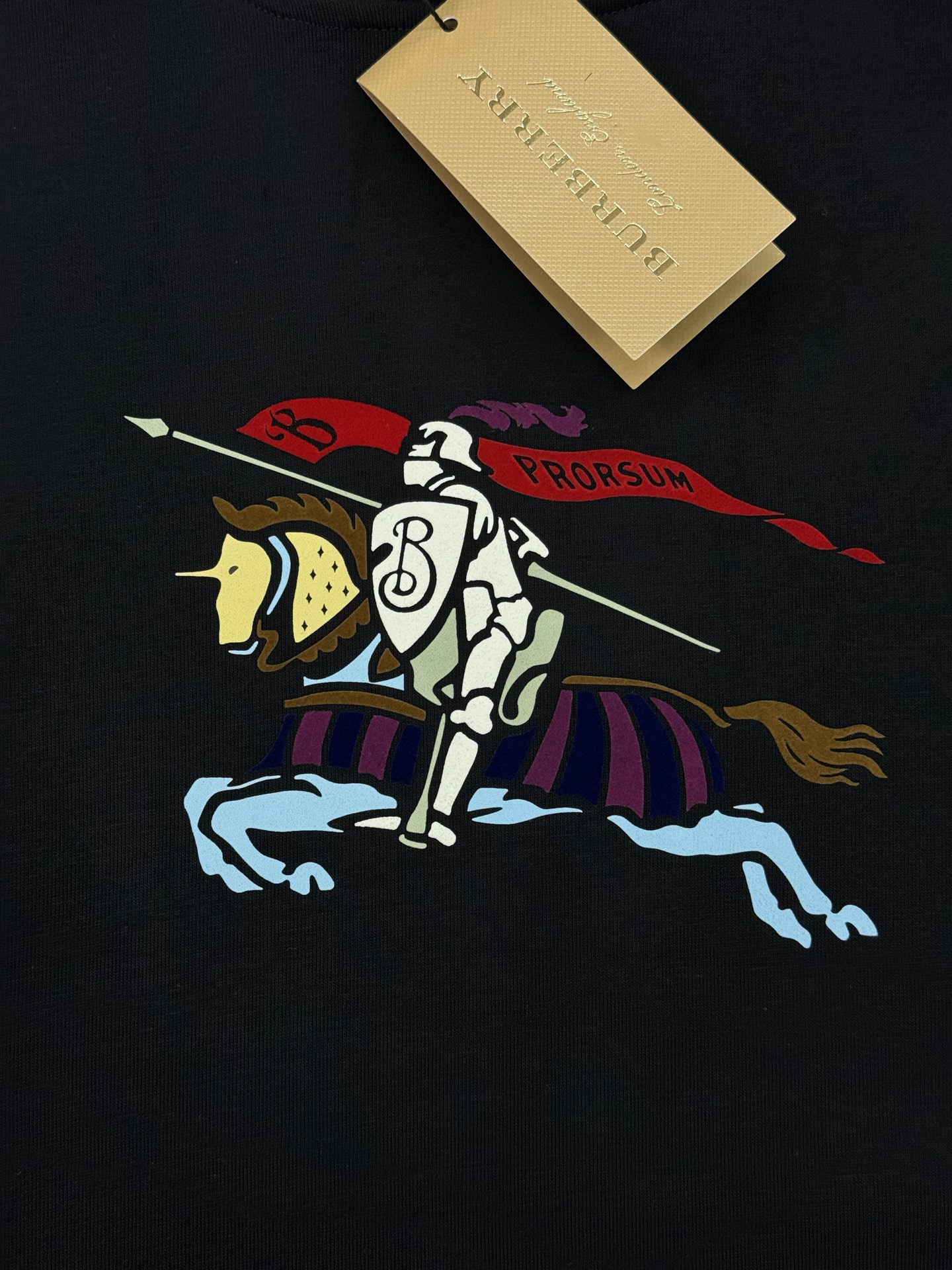 BBR*25S秋冬原单爆款连帽卫衣🔥男女同款！精致3D王牌战马印花工艺撞色设计.简单又高级！一款最基础的