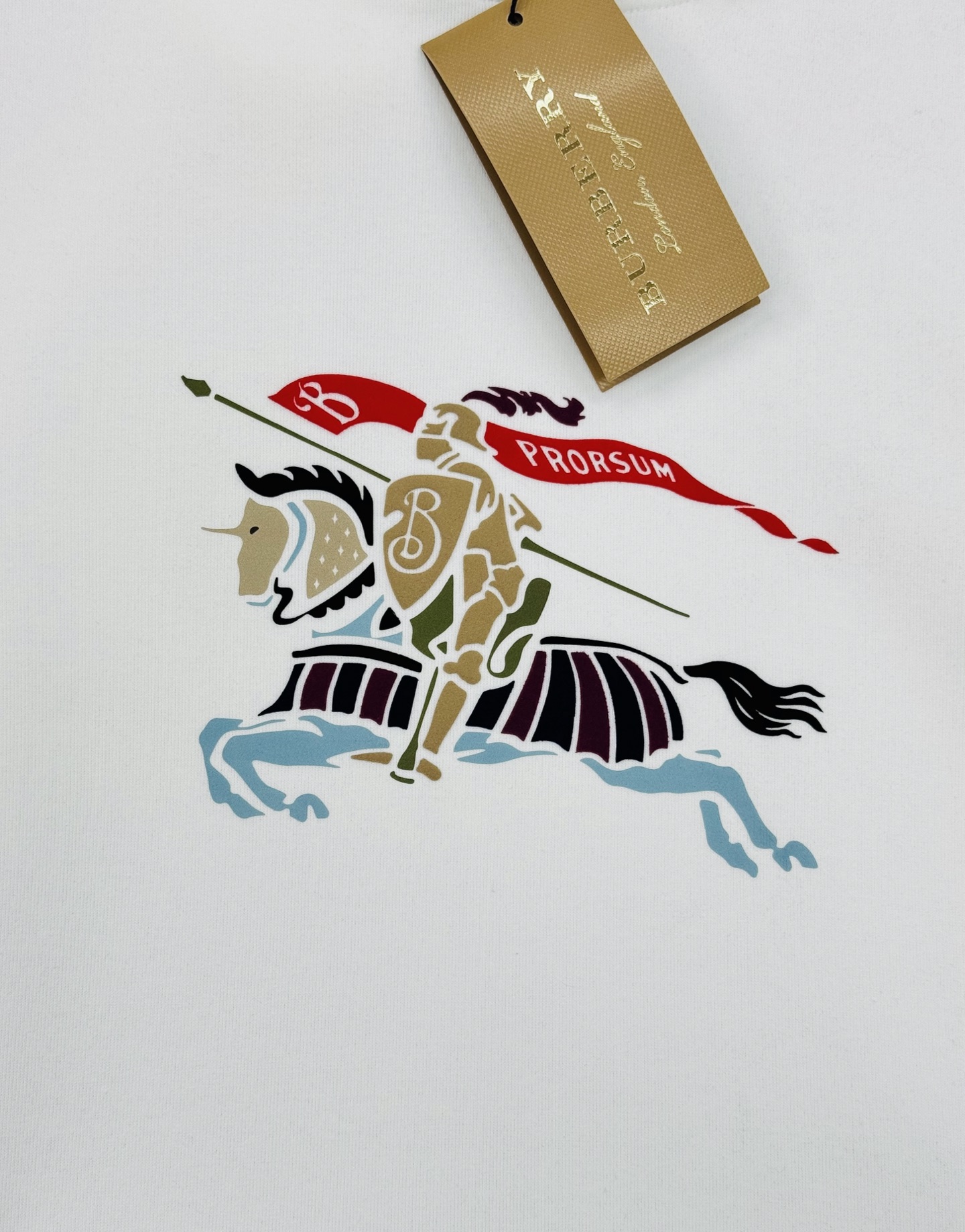 BBR*25S秋冬原单爆款连帽卫衣🔥男女同款！精致3D王牌战马印花工艺撞色设计.简单又高级！一款最基础的