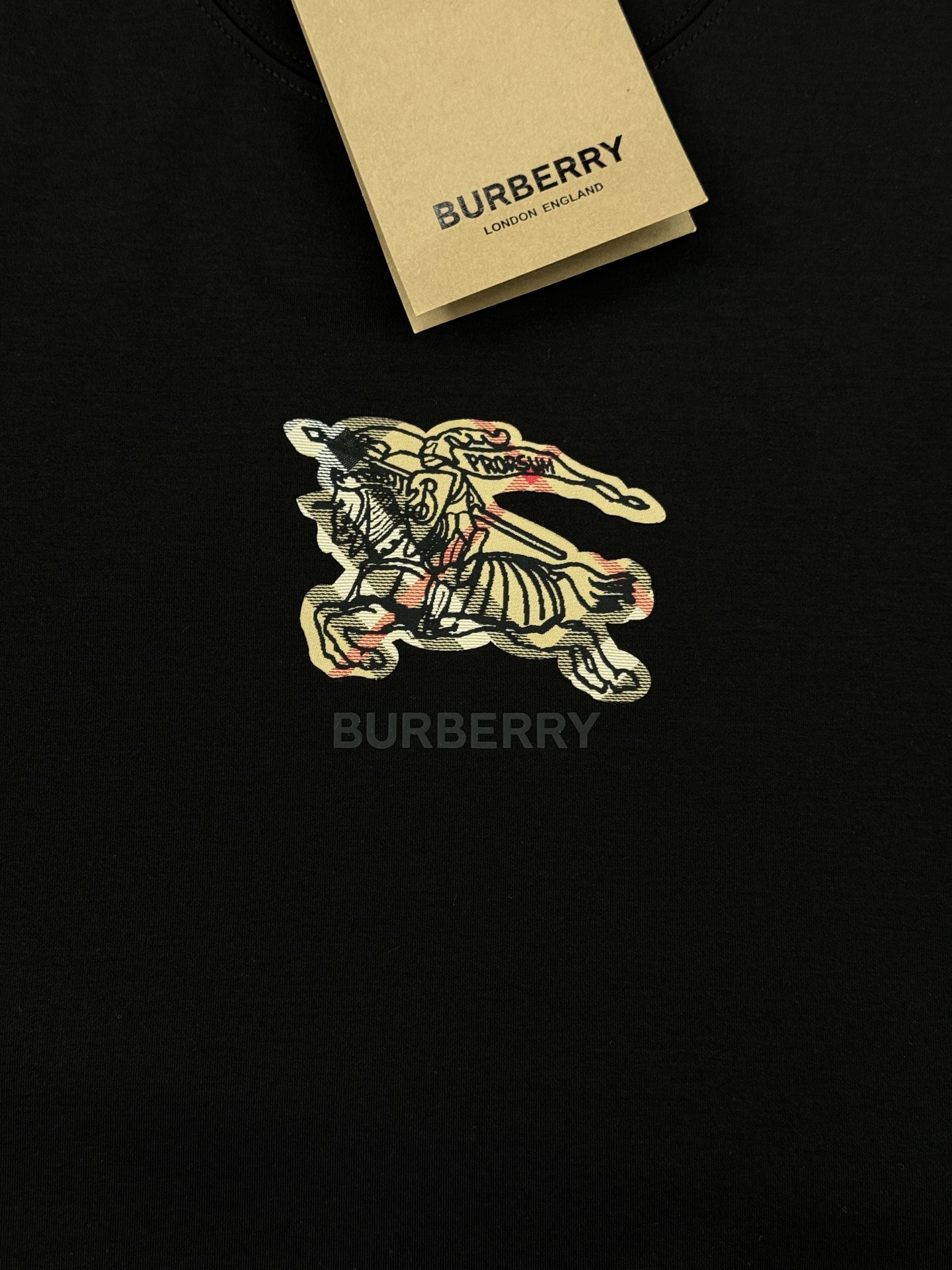 BBR*巴宝莉25s新款战马T恤.焕新升级百搭基础款，贸易公司出品！！甄选优质有机300g莫代尔棉面料，