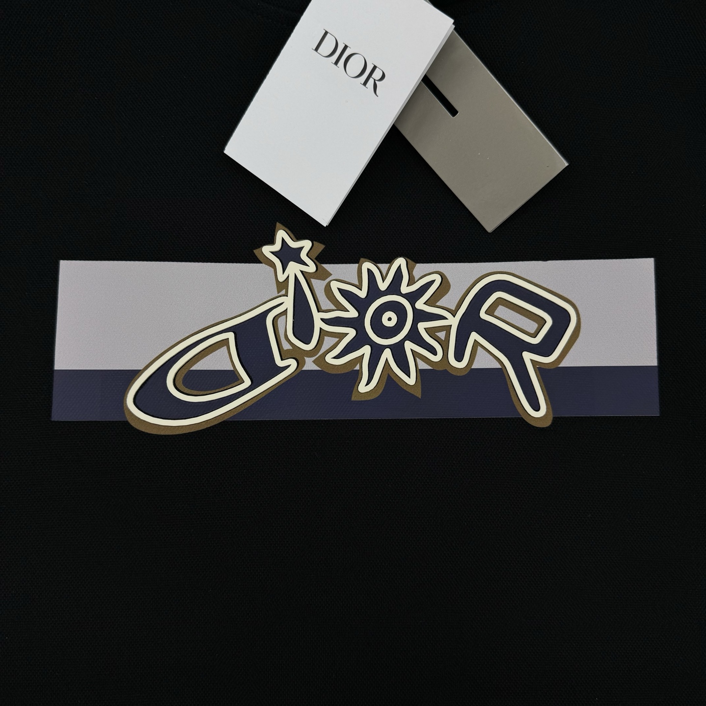 DIOR迪奥25s新品连帽卫衣.运动休闲随意搭配.采用2025新款380g天丝棉面料，亲肤舒适.抗皱不粘