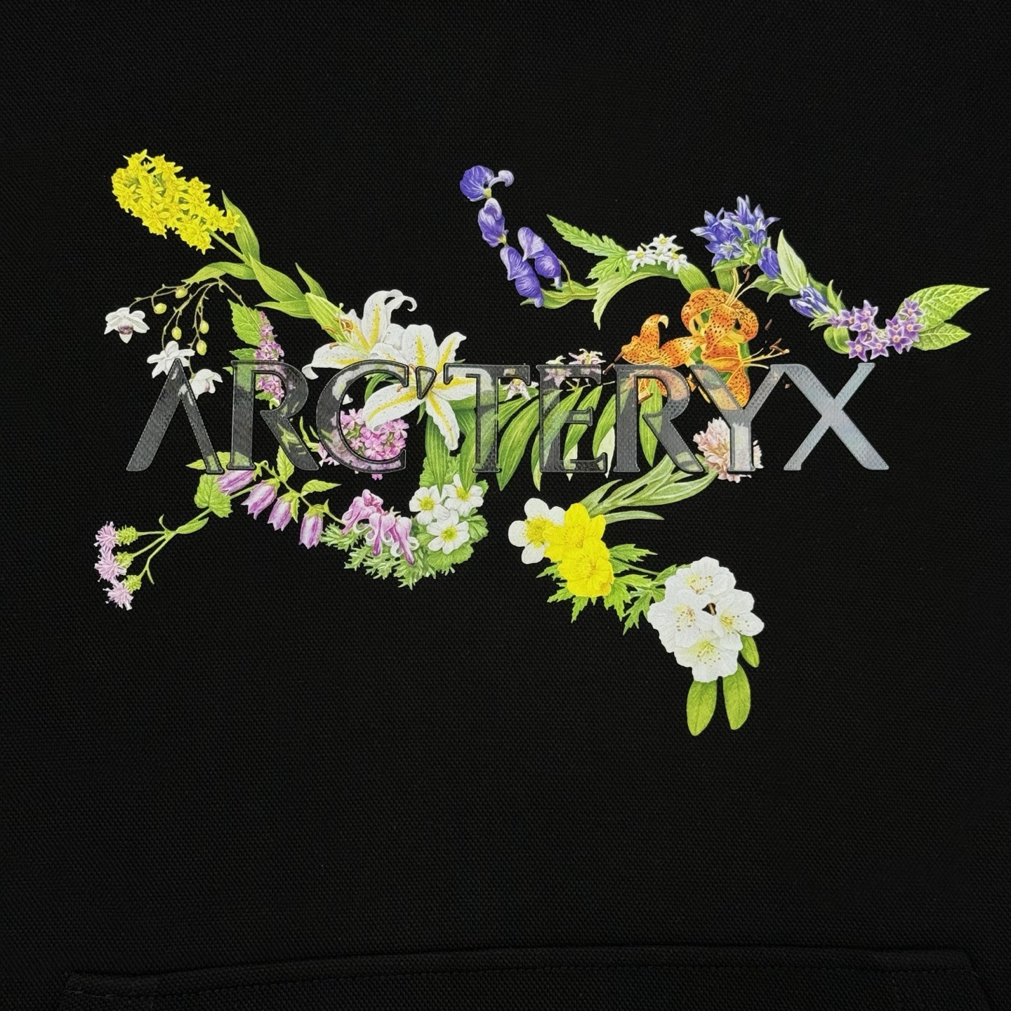 ARC'TERY*始祖-鸟25s新品连帽卫衣.男女同款！高品质高版本.最新花色推荐.胸口Logo图形立体