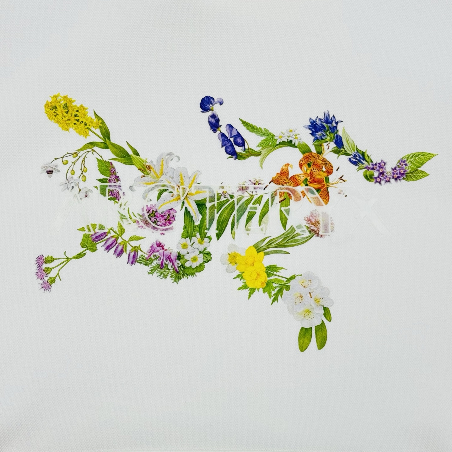 ARC'TERY*始祖-鸟25s新品连帽卫衣.男女同款！高品质高版本.最新花色推荐.胸口Logo图形立体