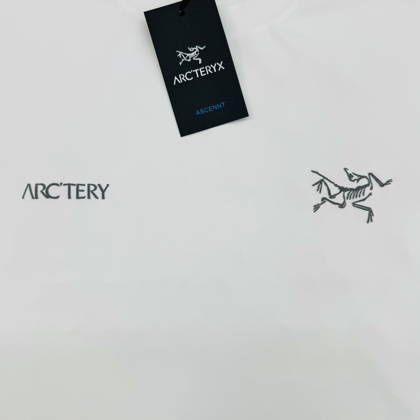 ARC'TERY*始祖-鸟25s新款莫代尔T恤.优选280g莫代尔棉质面料，柔软舒适.裁剪工艺到位没有任