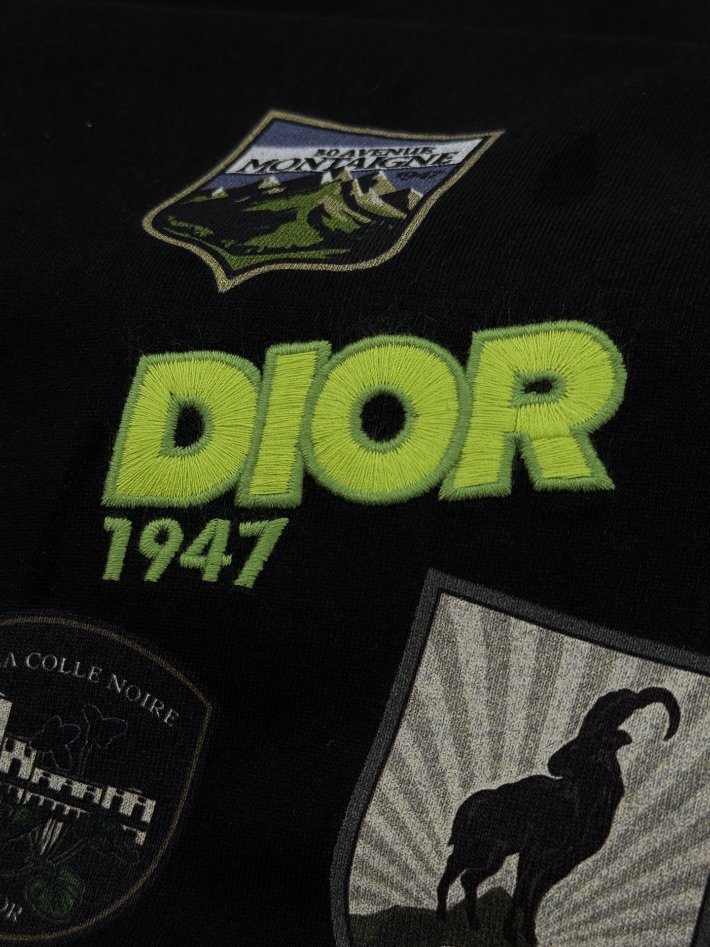 。🌾 Dior26s新品刺绣🪡T恤，小红书同步！男女同款❤️高克重纯棉材质，穿着舒适透气，日常出街超适合