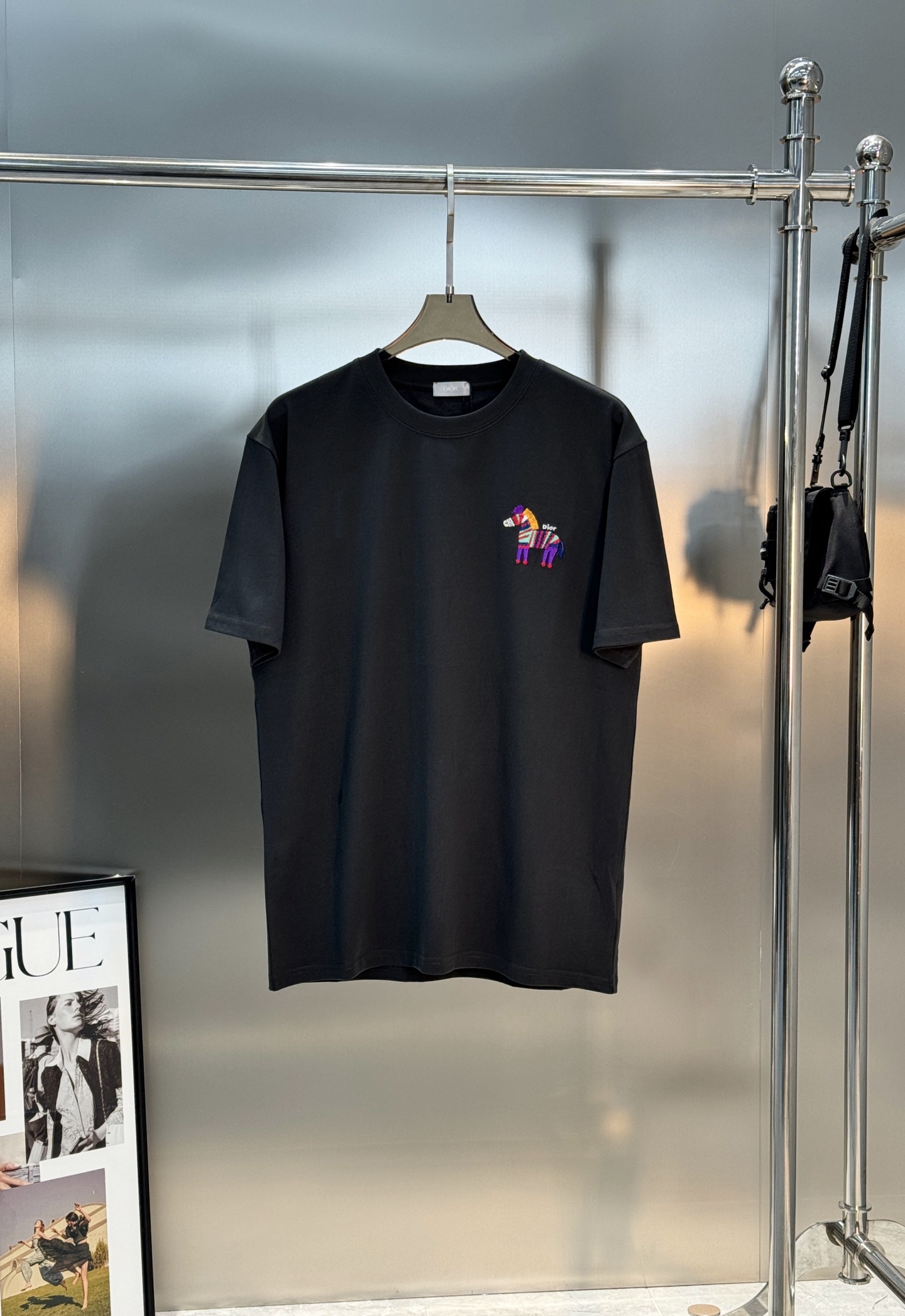 。🌾 Dior26s新品彩虹斑马刺绣T恤.男女同款❤️基础款推荐.胸前彩虹斑马刺绣🪡超吸睛，童趣又艺术感