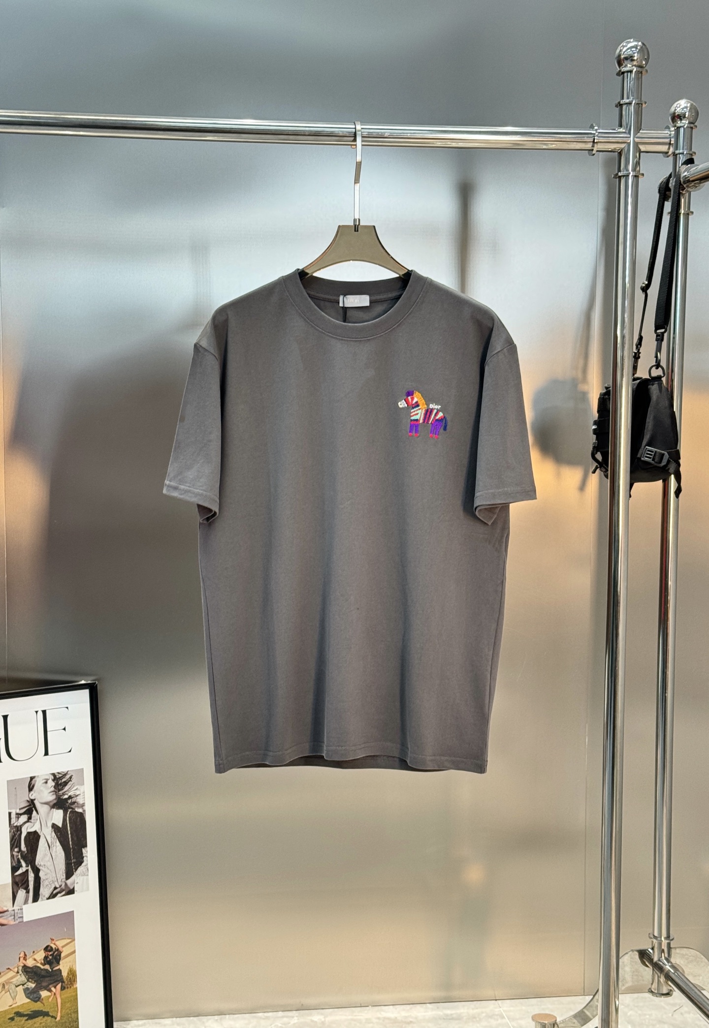 。🌾 Dior26s新品彩虹斑马刺绣T恤.男女同款❤️基础款推荐.胸前彩虹斑马刺绣🪡超吸睛，童趣又艺术感