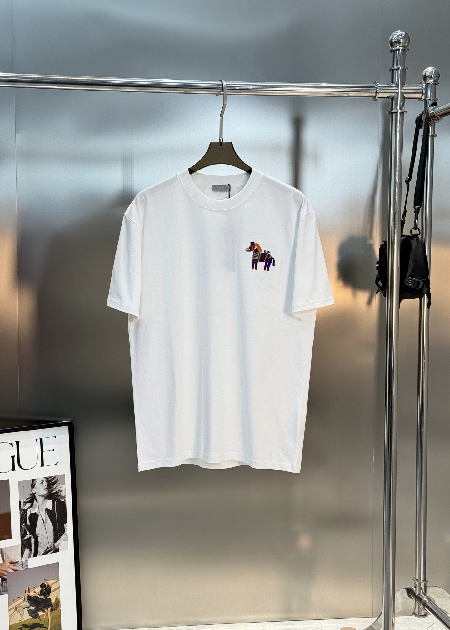 。🌾 Dior26s新品彩虹斑马刺绣T恤.男女同款❤️基础款推荐.胸前彩虹斑马刺绣🪡超吸睛，童趣又艺术感