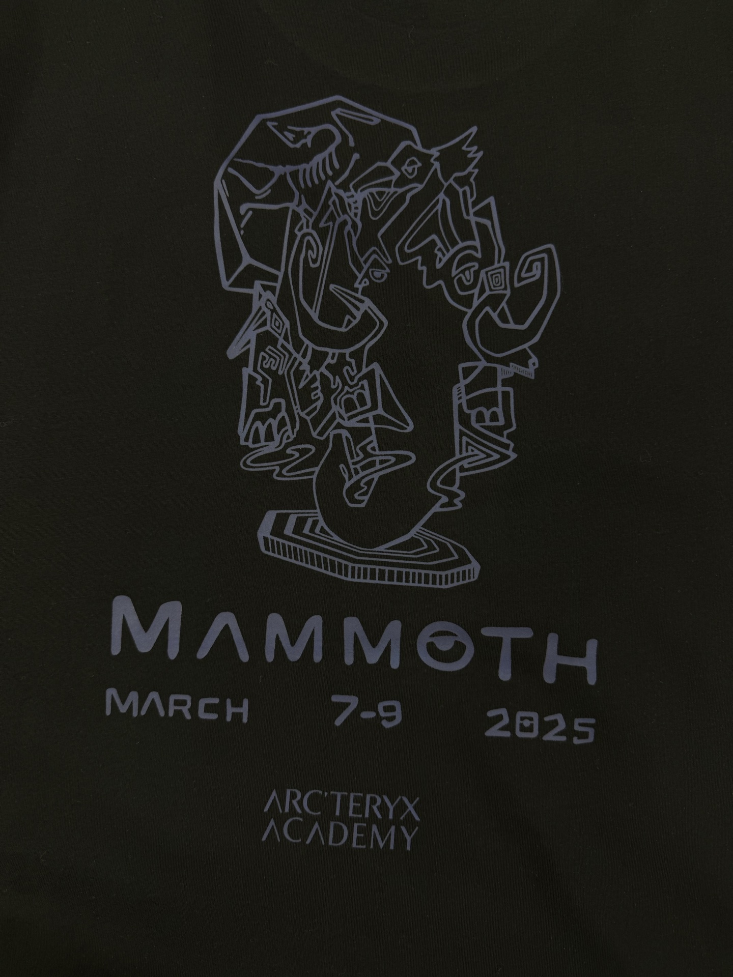 。🌾 ARC'TERY*始祖-鸟鸟潮牌爆款推荐🔥联名款猛犸象🦣男女同款！高品质高版本，此款胸前及后背Lo