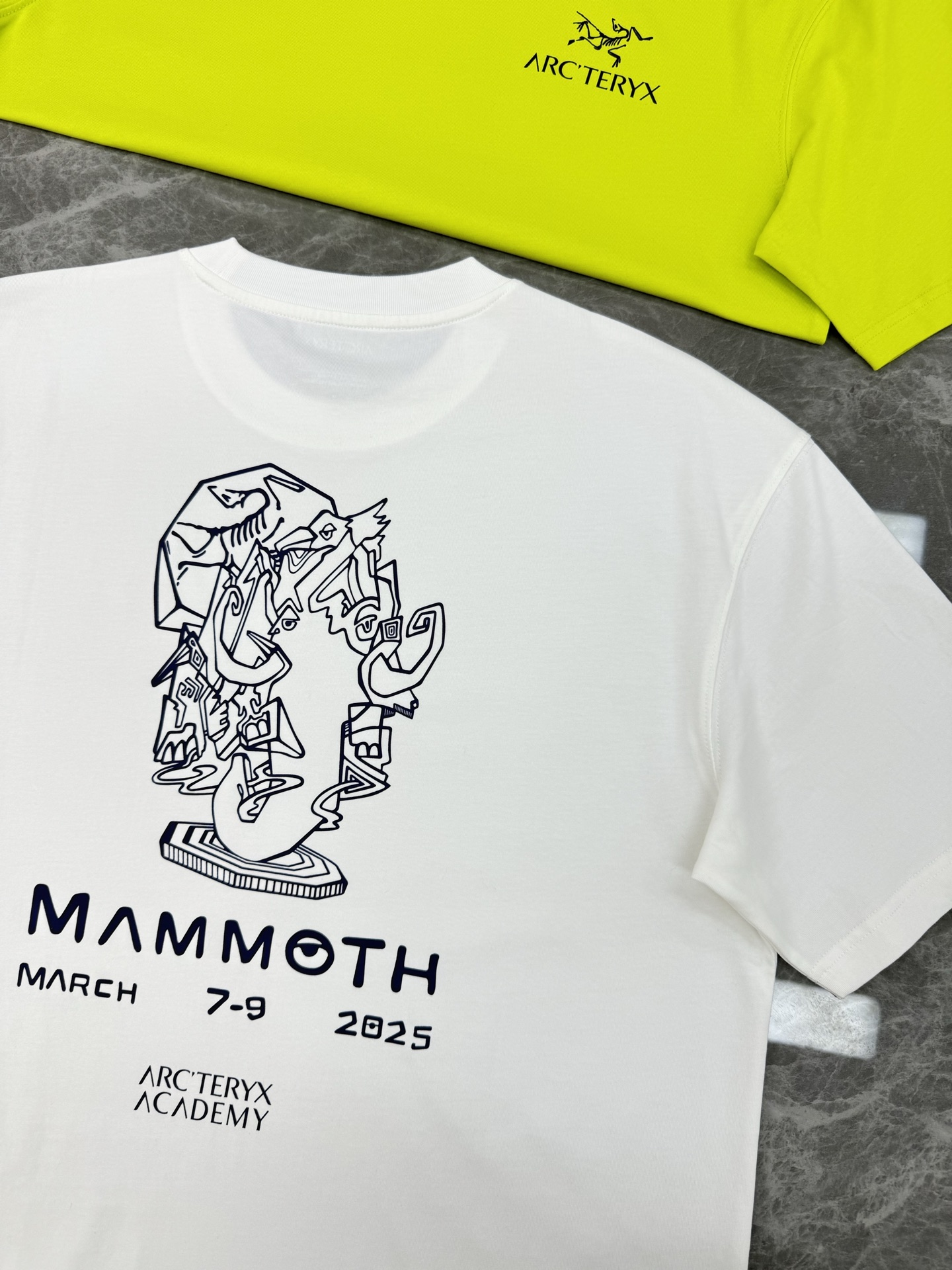 。🌾 ARC'TERY*始祖-鸟鸟潮牌爆款推荐🔥联名款猛犸象🦣男女同款！高品质高版本，此款胸前及后背Lo