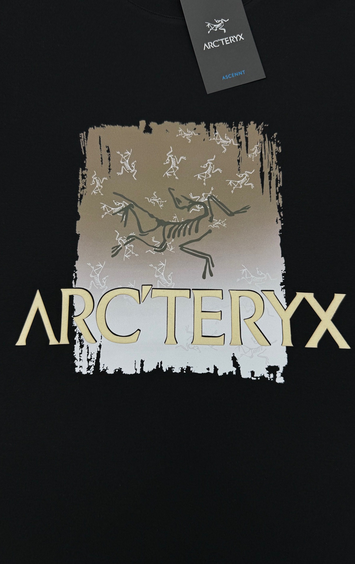 ARC'TERY*始祖鸟🐦新款莫代尔长袖T恤.双层品牌字母图形设计.此款短TEE甄选300g莫代尔面料，