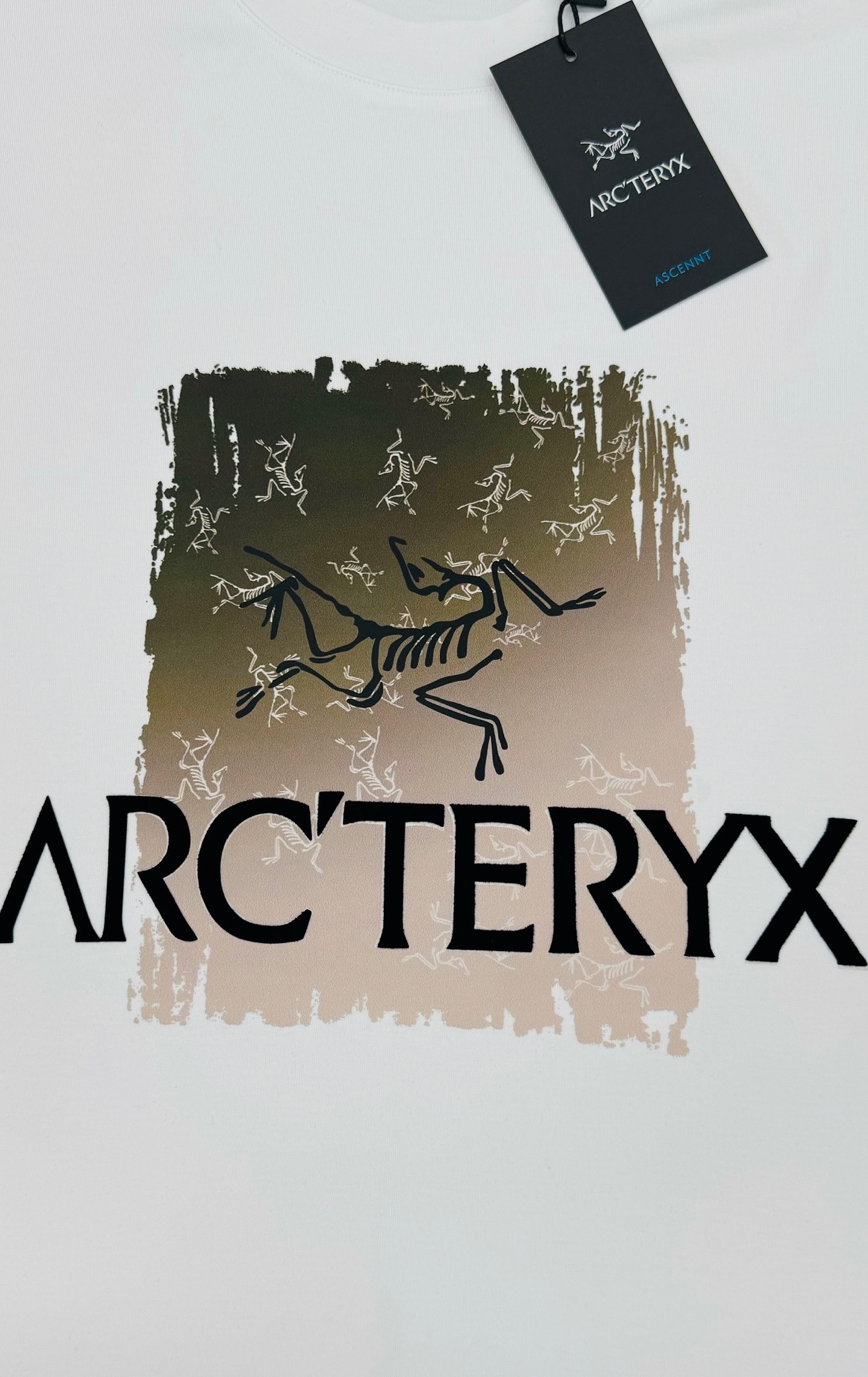 ARC'TERY*始祖鸟🐦新款莫代尔长袖T恤.双层品牌字母图形设计.此款短TEE甄选300g莫代尔面料，