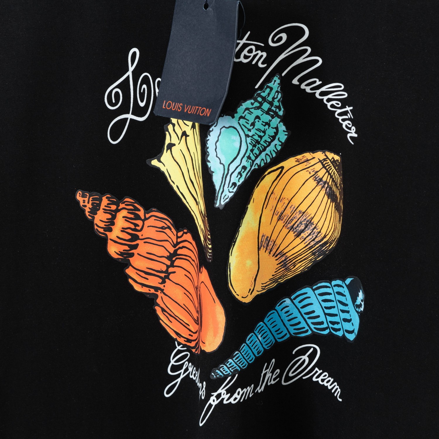 Louis Vuitton Spring/Summer Printed Short Sleeve T-Shirt, High Quality Cotton 7 a1740871642170 5384