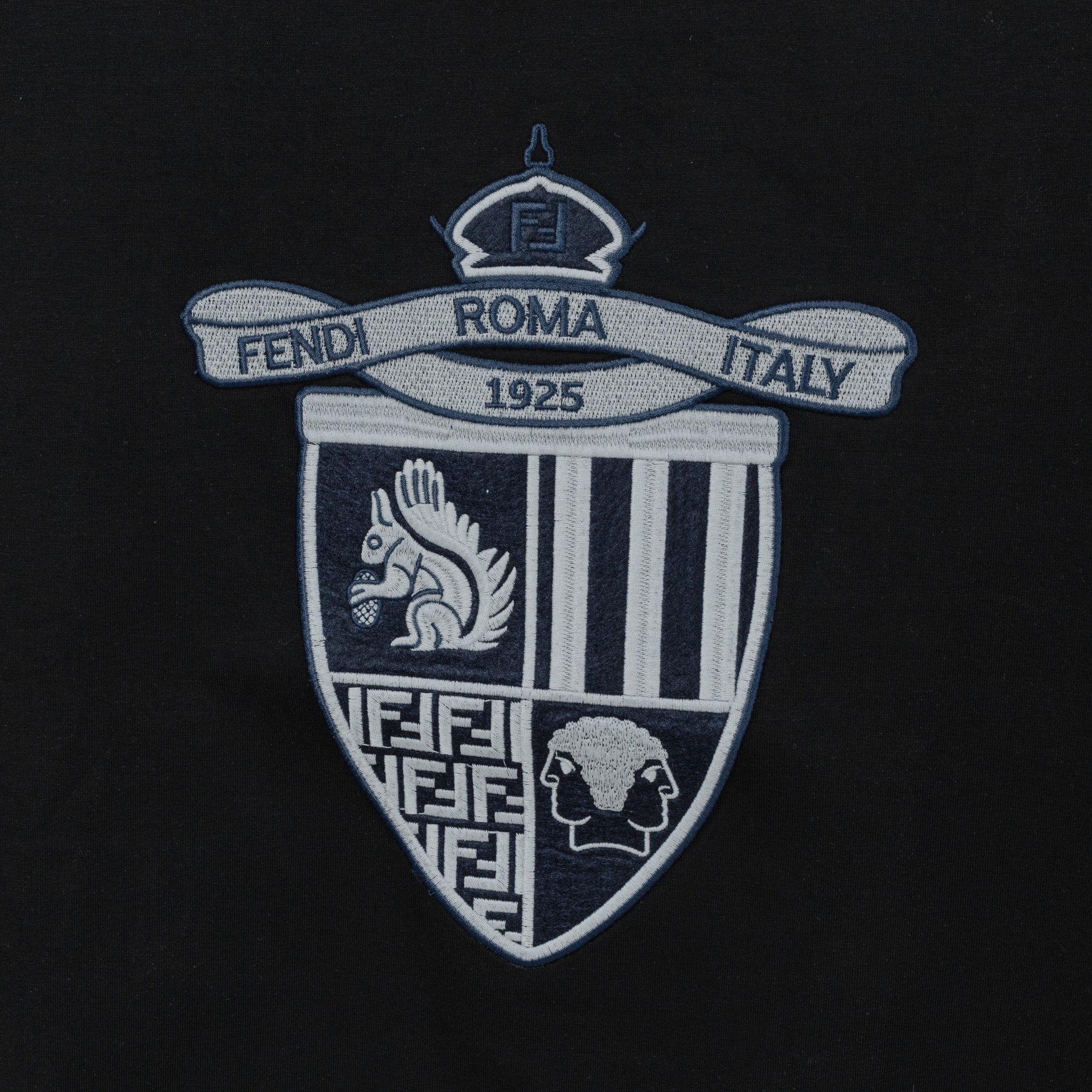 FENDI  短袖T恤服装,男,fendi 6