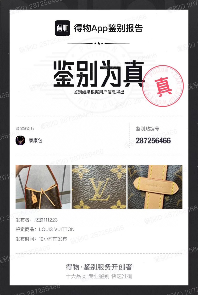 carryall小号M46203腋下购物袋过鉴定了