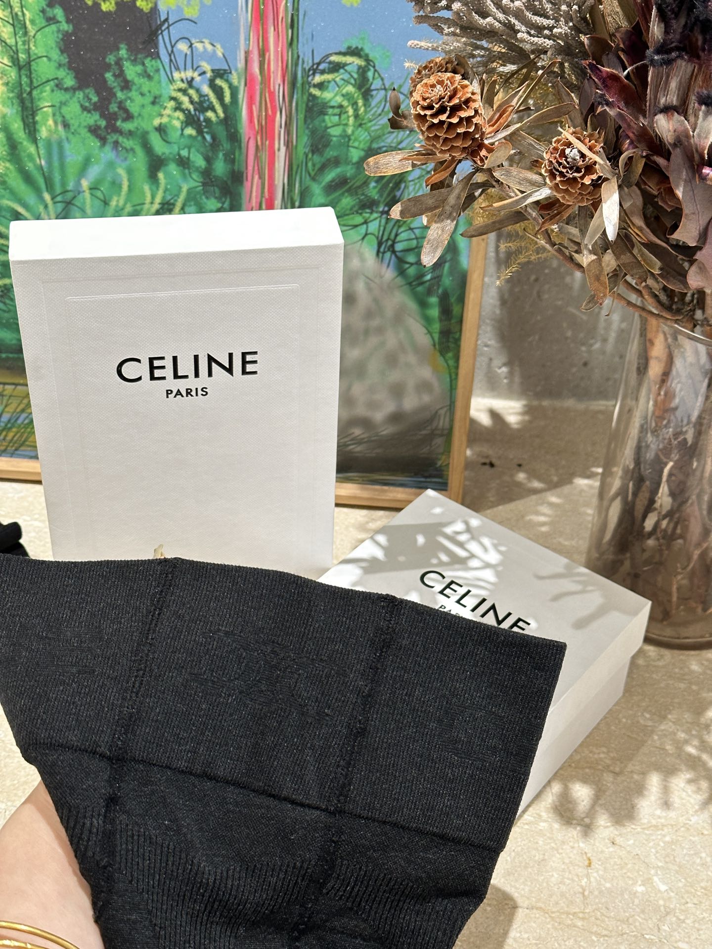 featuring the signature Triomphe emblem alongside the Celine knit motif - Comprehensive 2