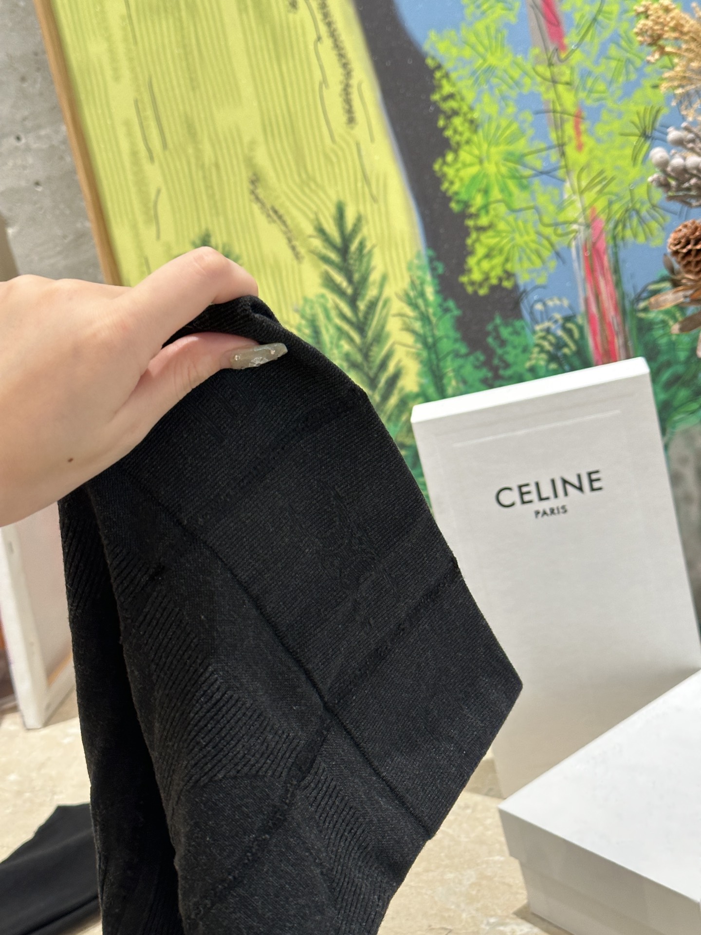 featuring the signature Triomphe emblem alongside the Celine knit motif - Comprehensive 3