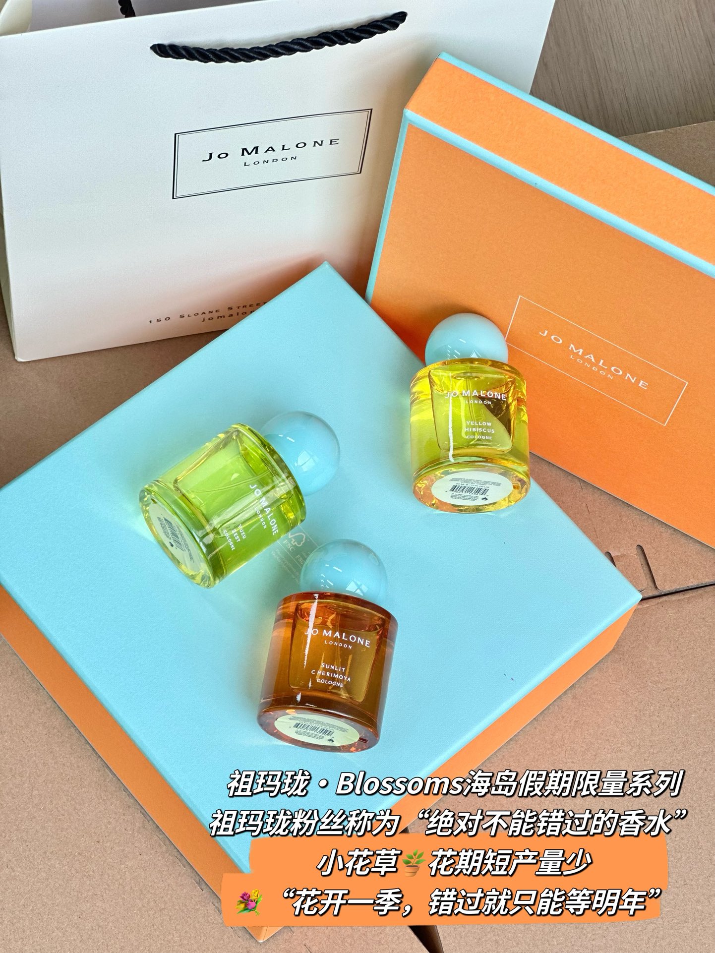 1️⃣雪柚香水 Yuzu Zest Cologne 7