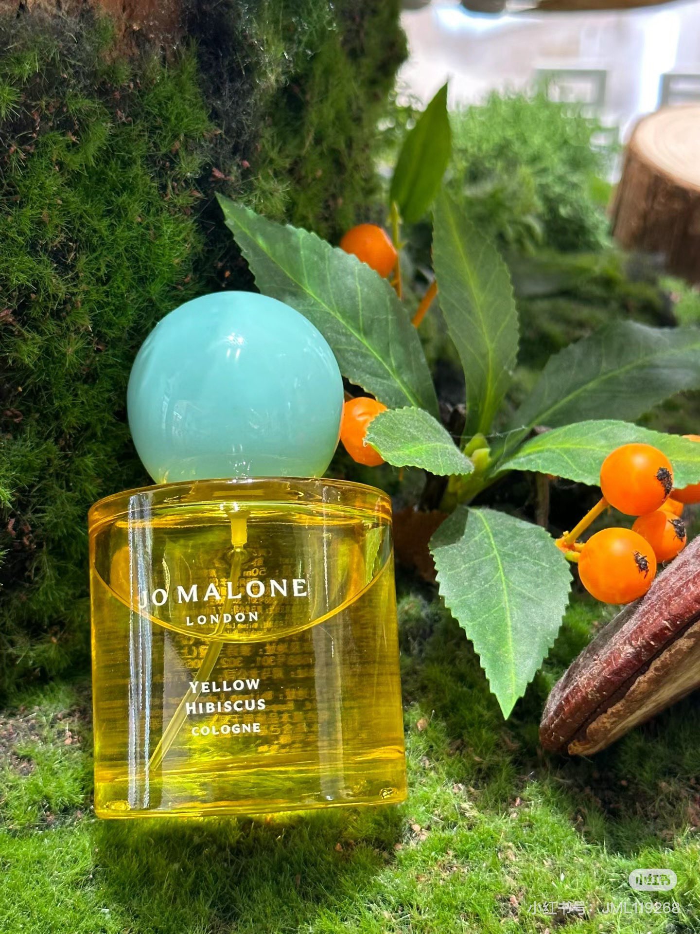 Summer Fragrance: An Island Holiday Getaway - Perfume 4