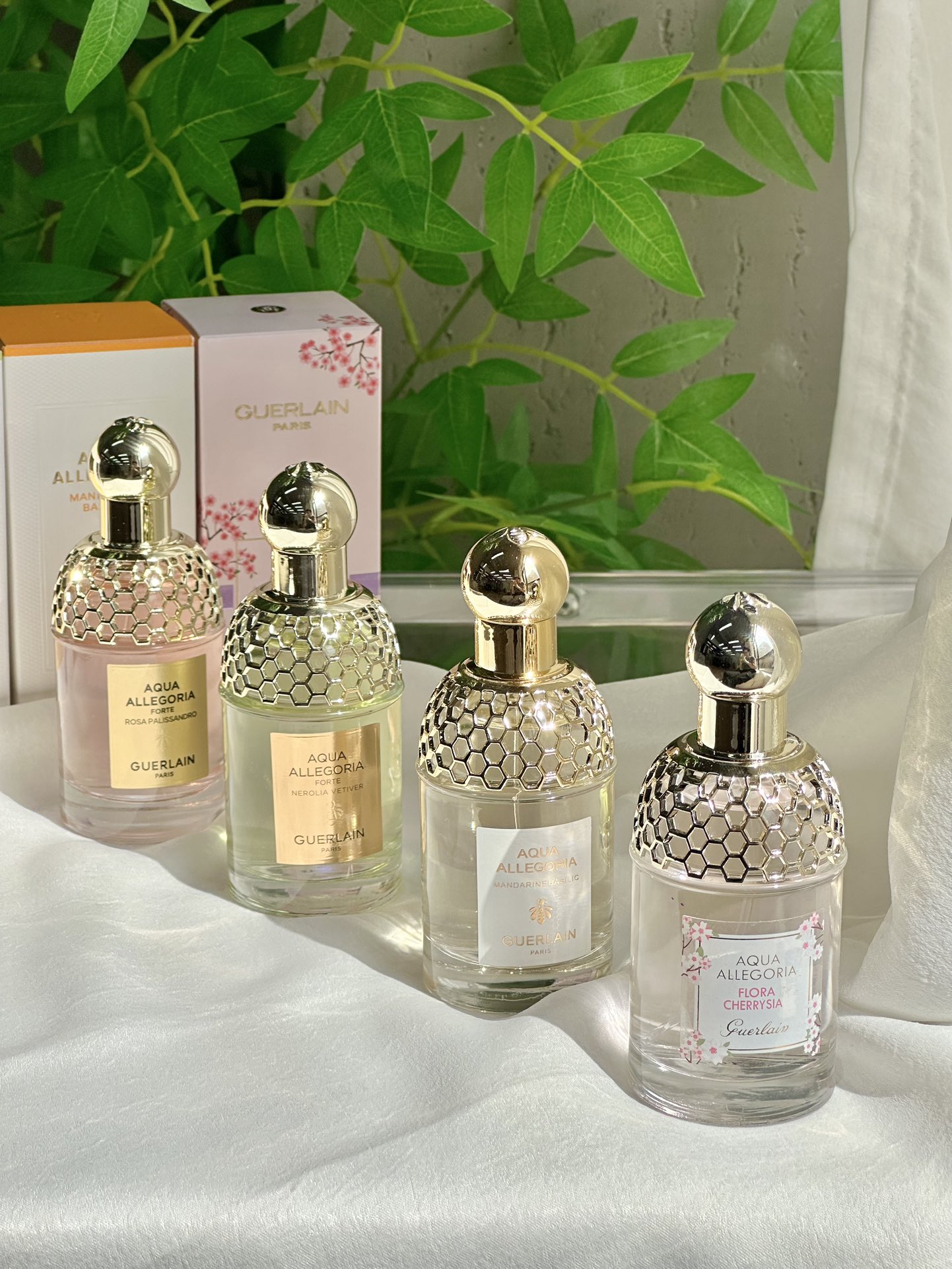 Guerlain Aqua Allegoria Fragrance Collection - Comprehensive 4