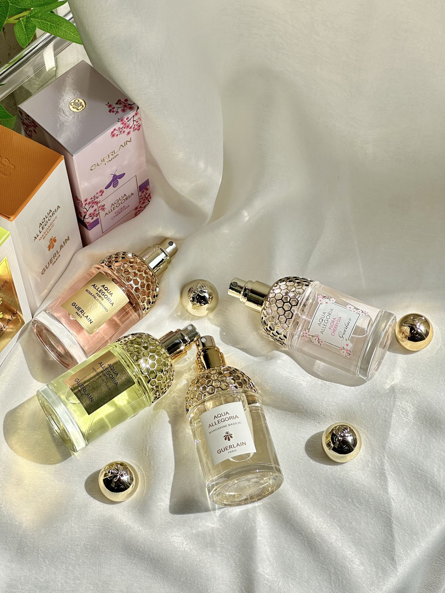 Guerlain Aqua Allegoria Fragrance Collection - Comprehensive 9