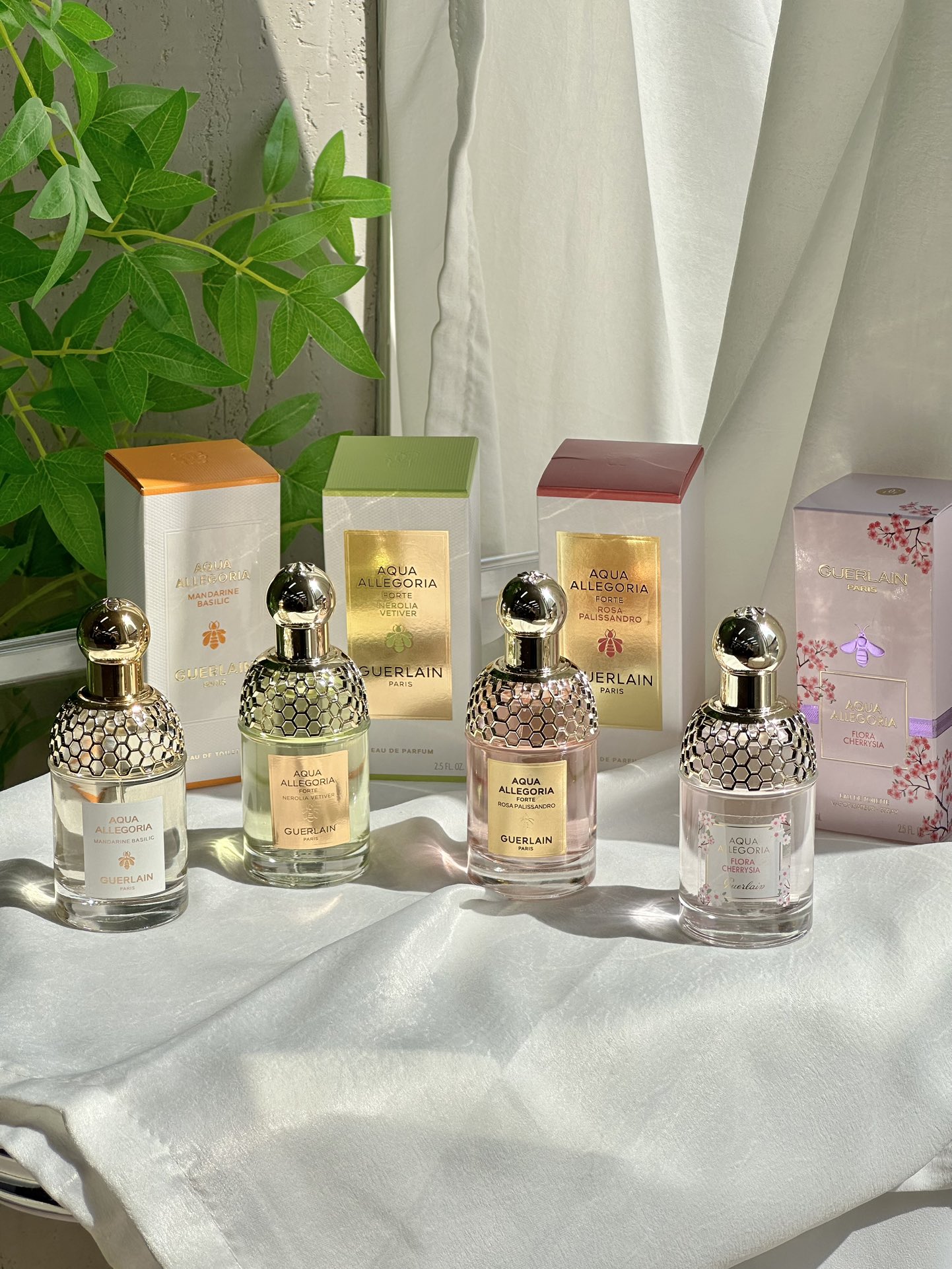 Guerlain Aqua Allegoria Fragrance Collection - Comprehensive 2