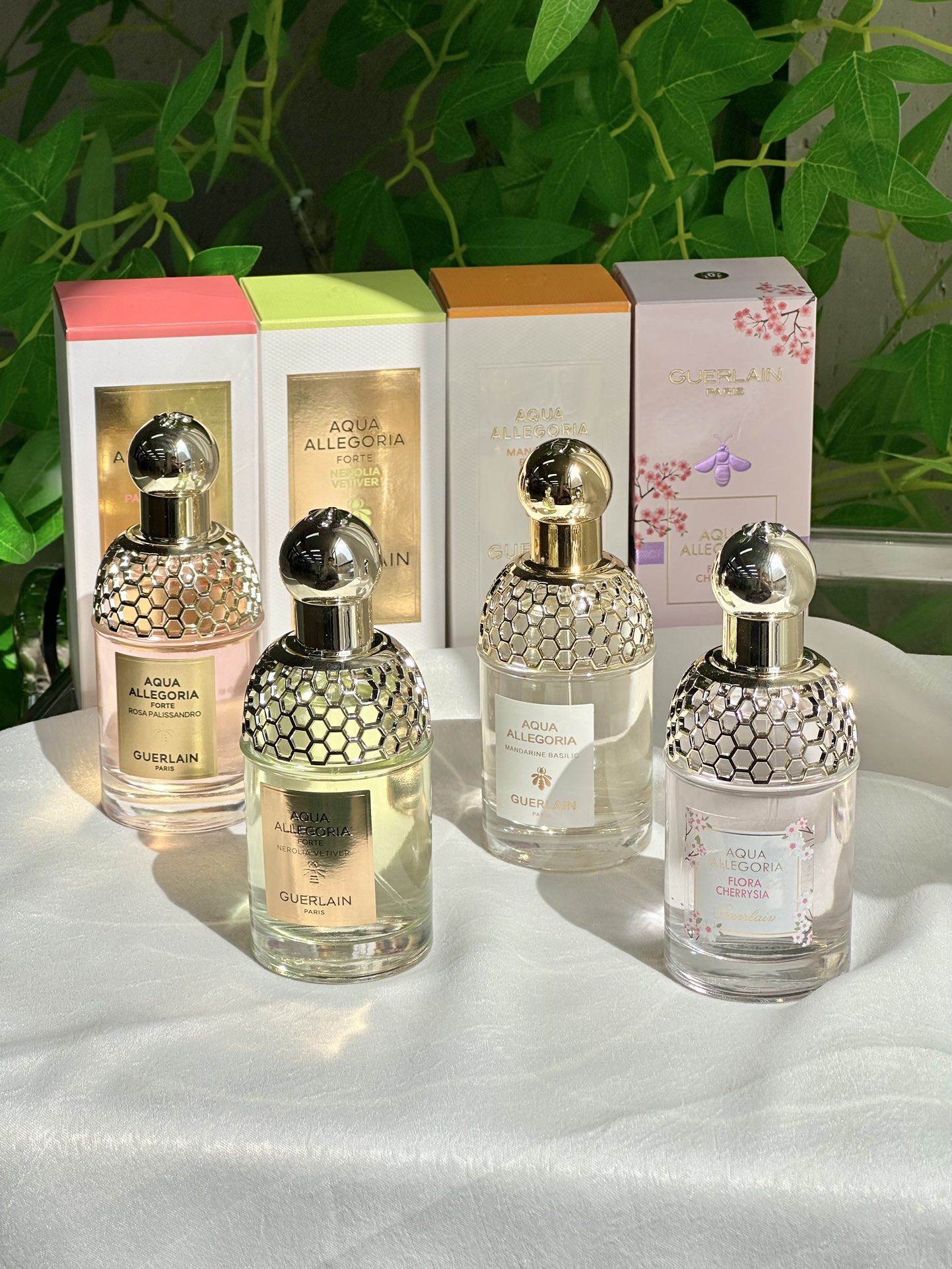 Guerlain Aqua Allegoria Fragrance Collection - Comprehensive 8