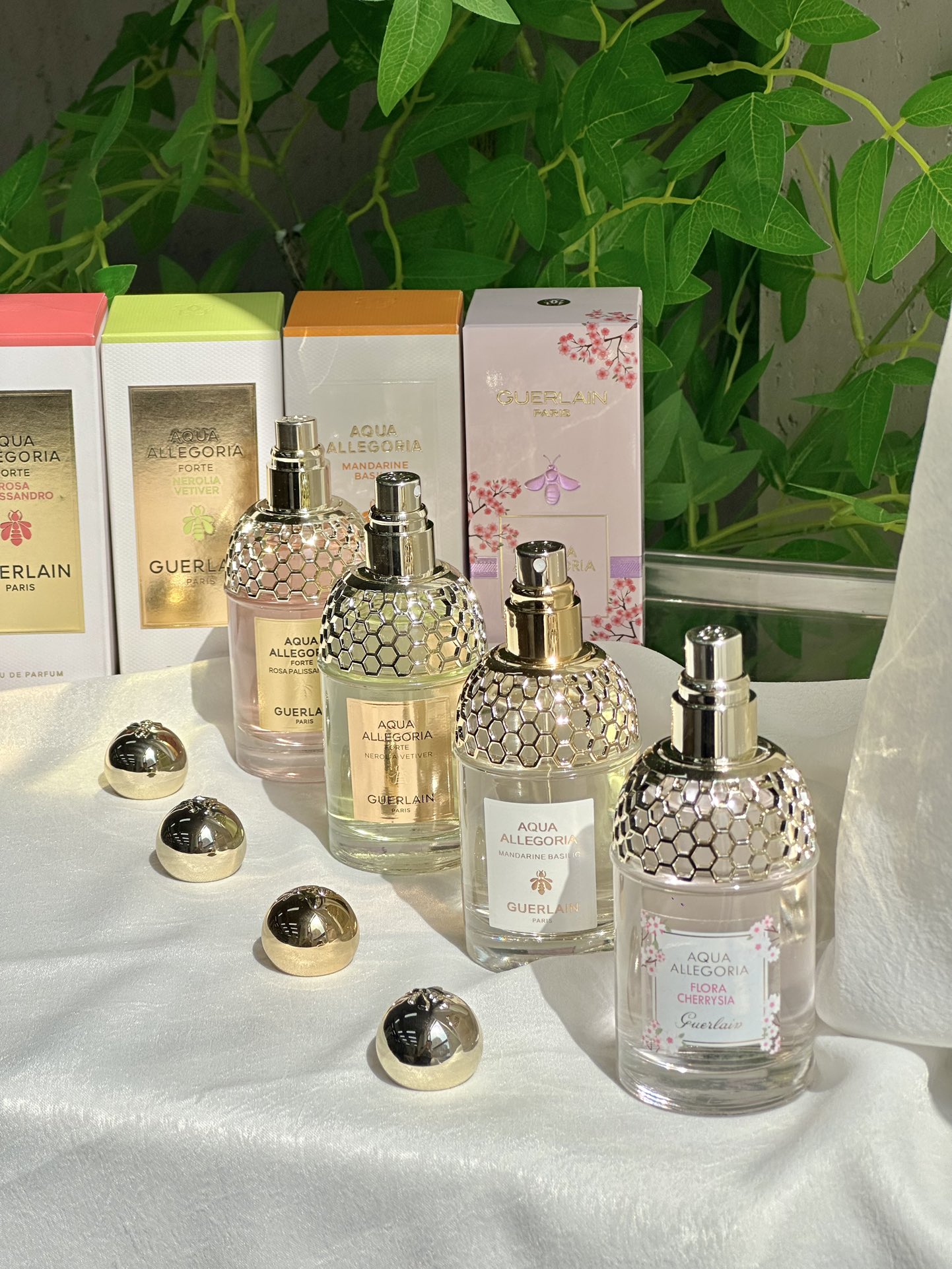 Guerlain Aqua Allegoria Fragrance Collection - Comprehensive 6